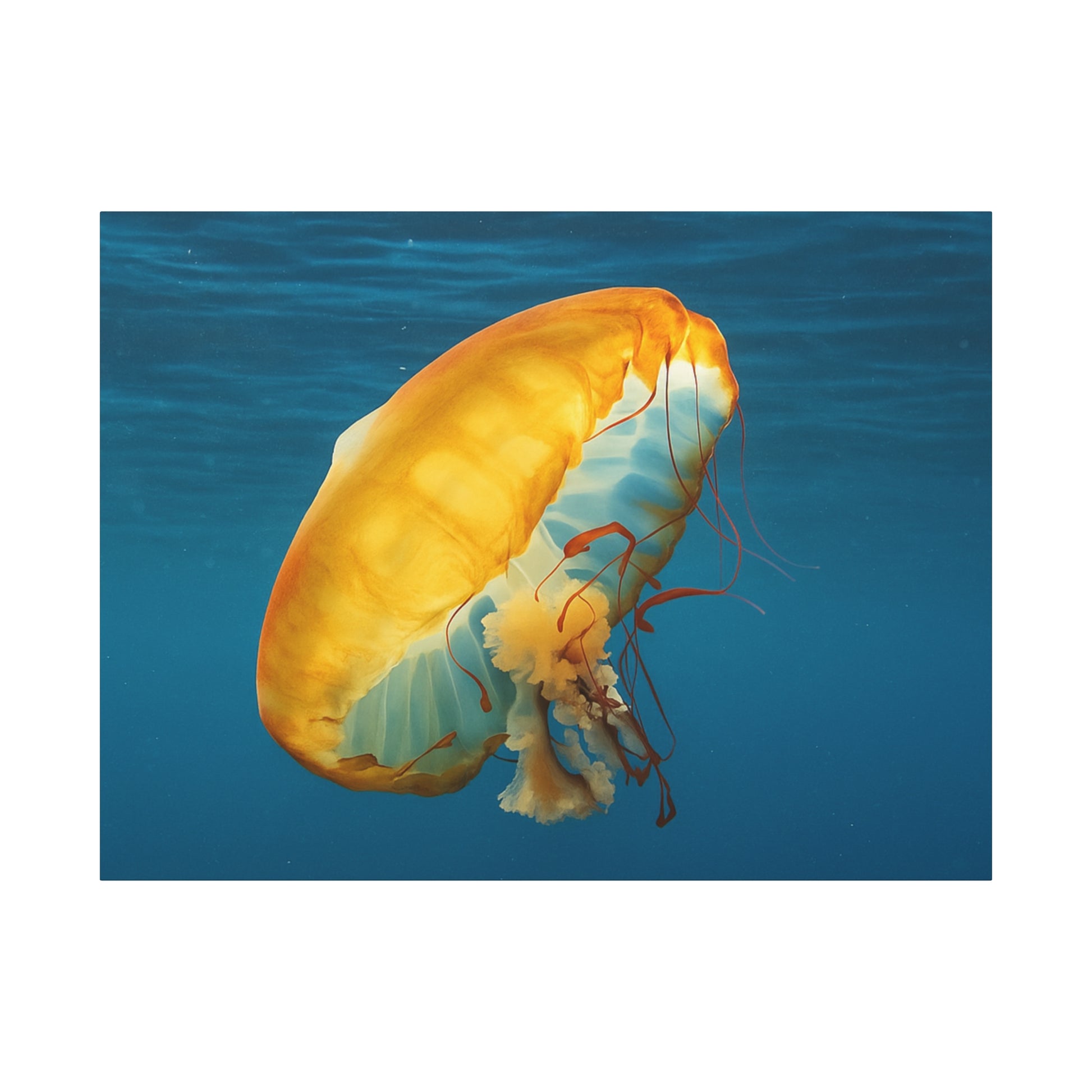 Yellow jellyfish swimming in clear blue water
