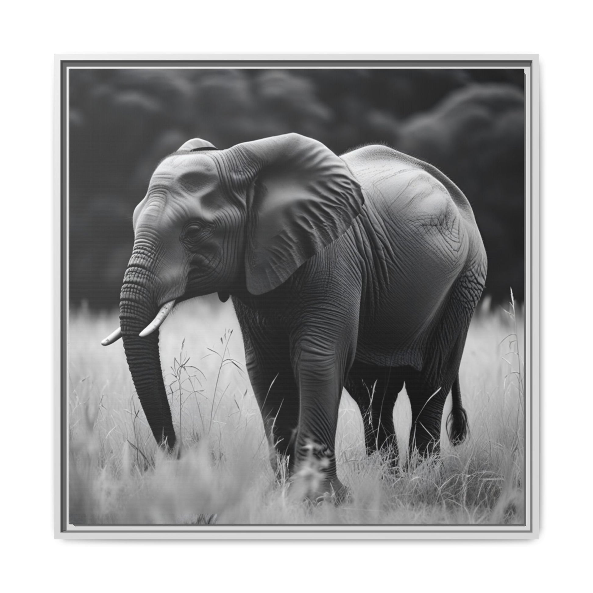 Black and white photo of an elephant in a grassy field with a dark background