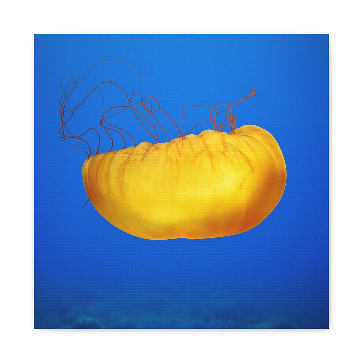 Golden Jellyfish Canvas Wall Art | Ocean Photography Print | Coastal Home Decor | Marine Life Artwork | Blue Sea Jellyfish Poster 1.25"