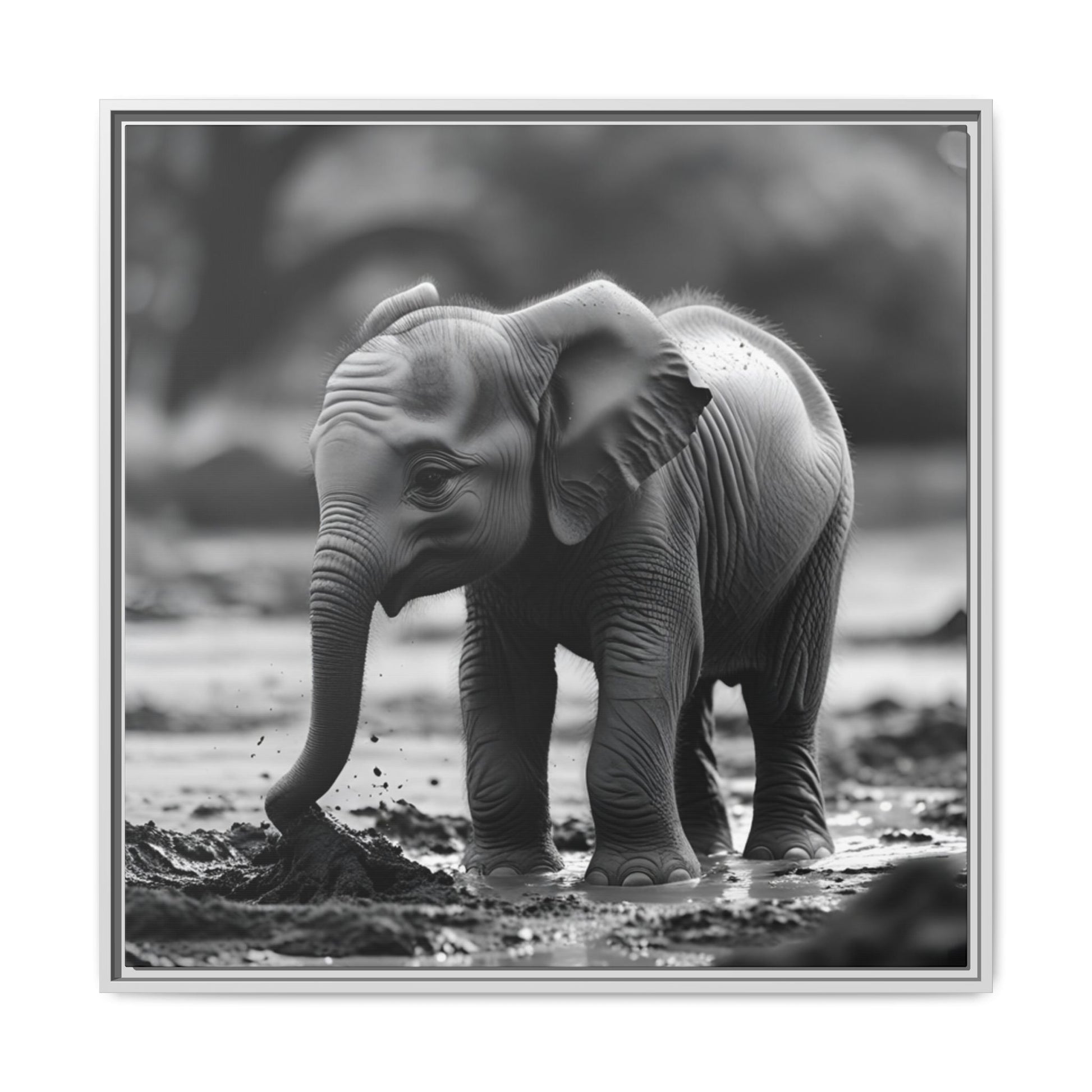 Black and white photo of a baby elephant playing in water