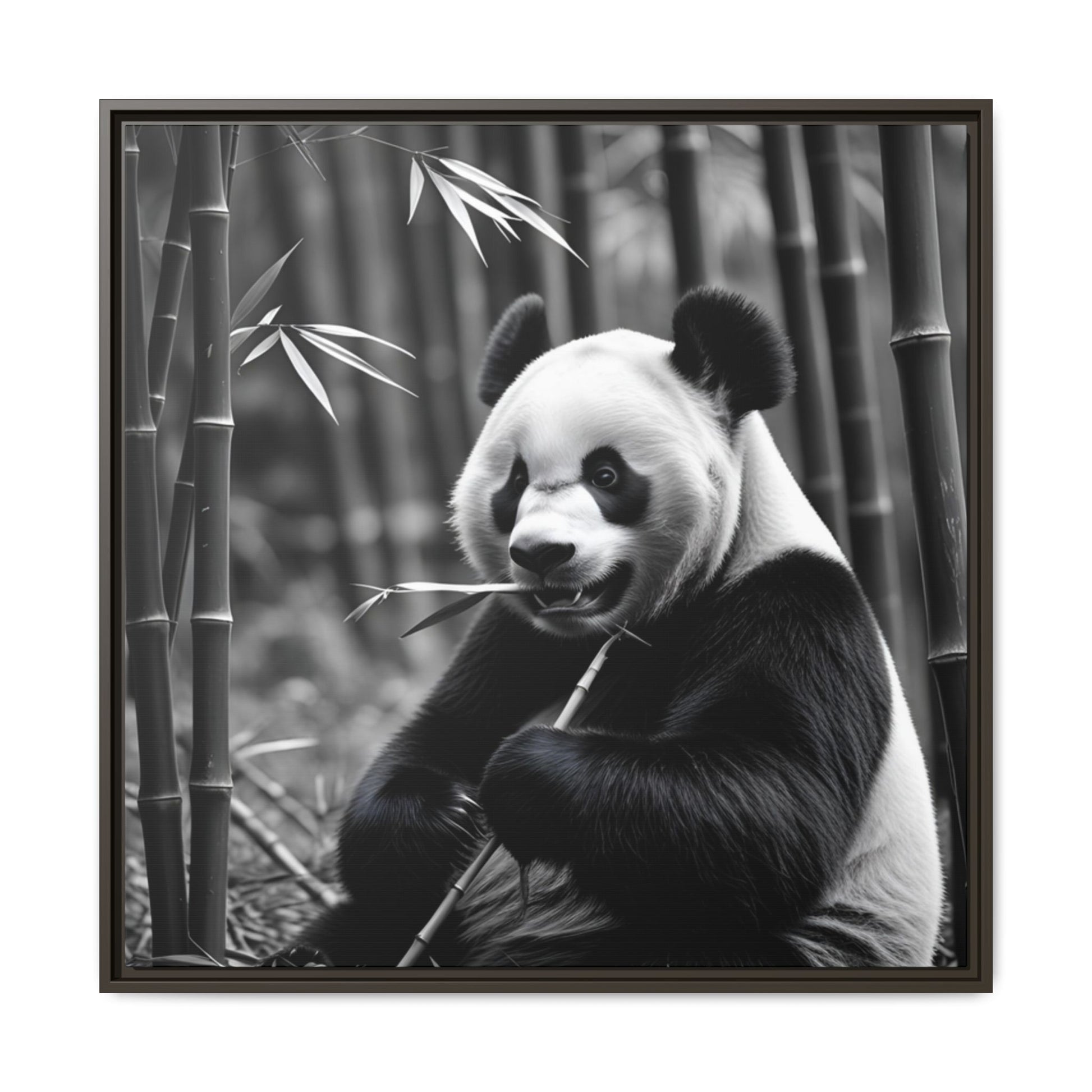 Black and white panda eating bamboo with a bamboo forest background