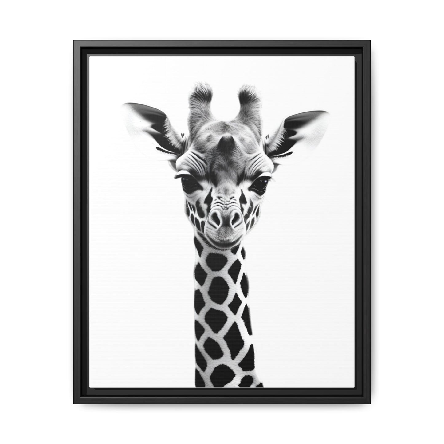 Framed black and white photo of a giraffe on a white background