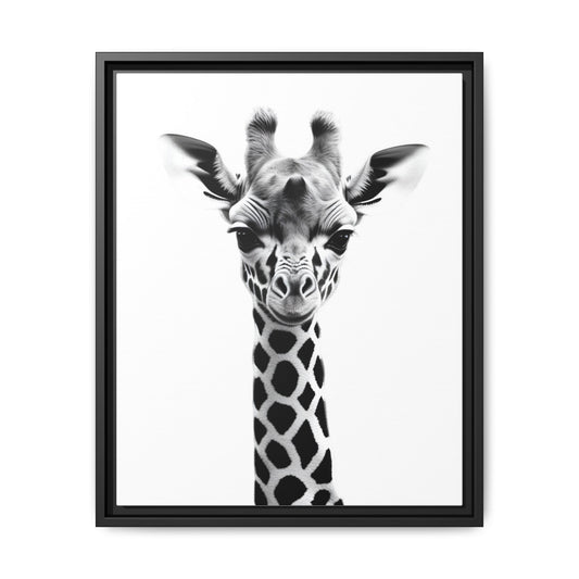 Framed black and white photo of a giraffe on a white background