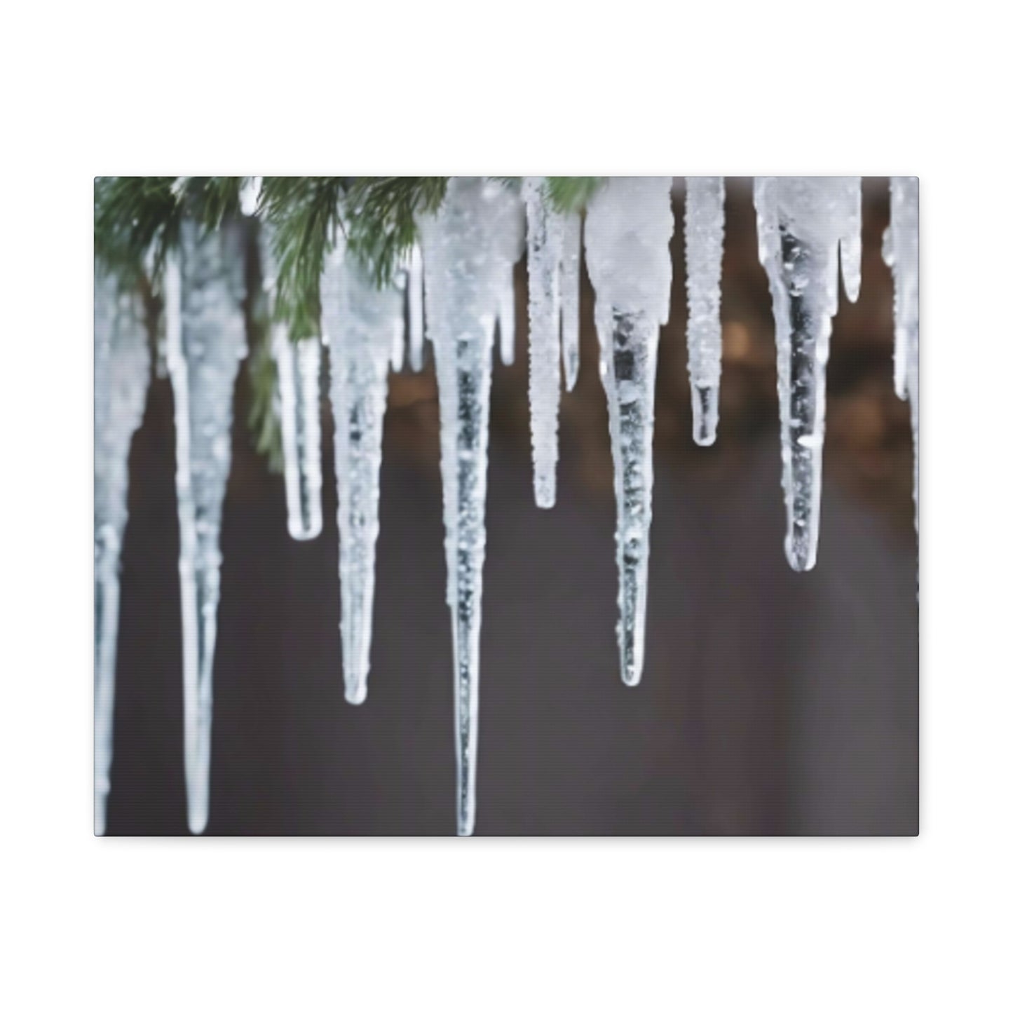 Icicles hanging from a branch against a dark background