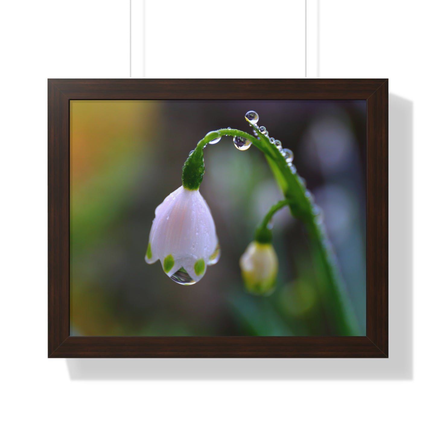 Dew Drop Flower Framed Wall Art – Macro Nature Photography, Minimalist Floral Print, Elegant Botanical Home Decor