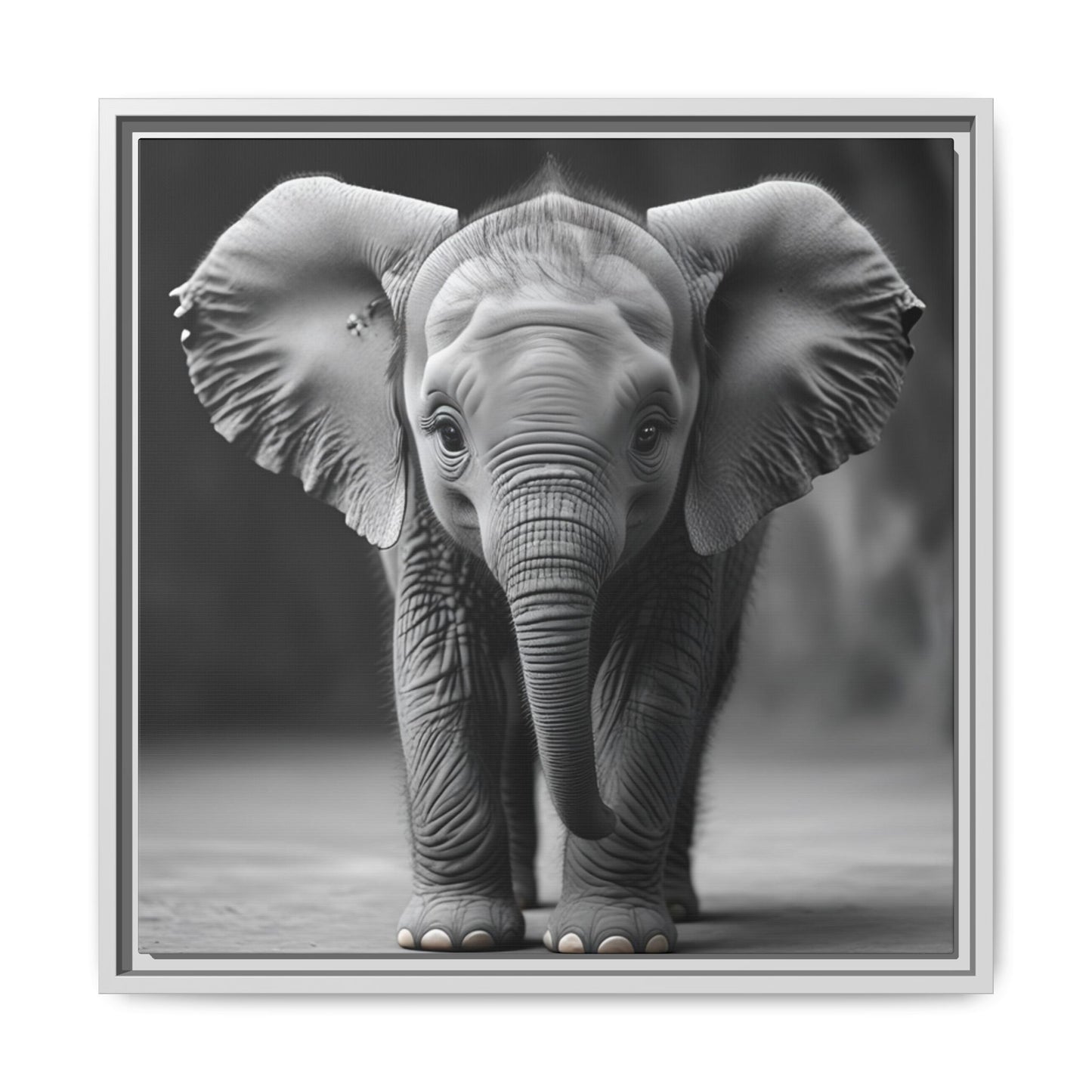 Adorable Baby Elephant Wall Art Black & White Wildlife Photography Print, Cute Safari Animal Home Decor, Elephant Lover Gift
