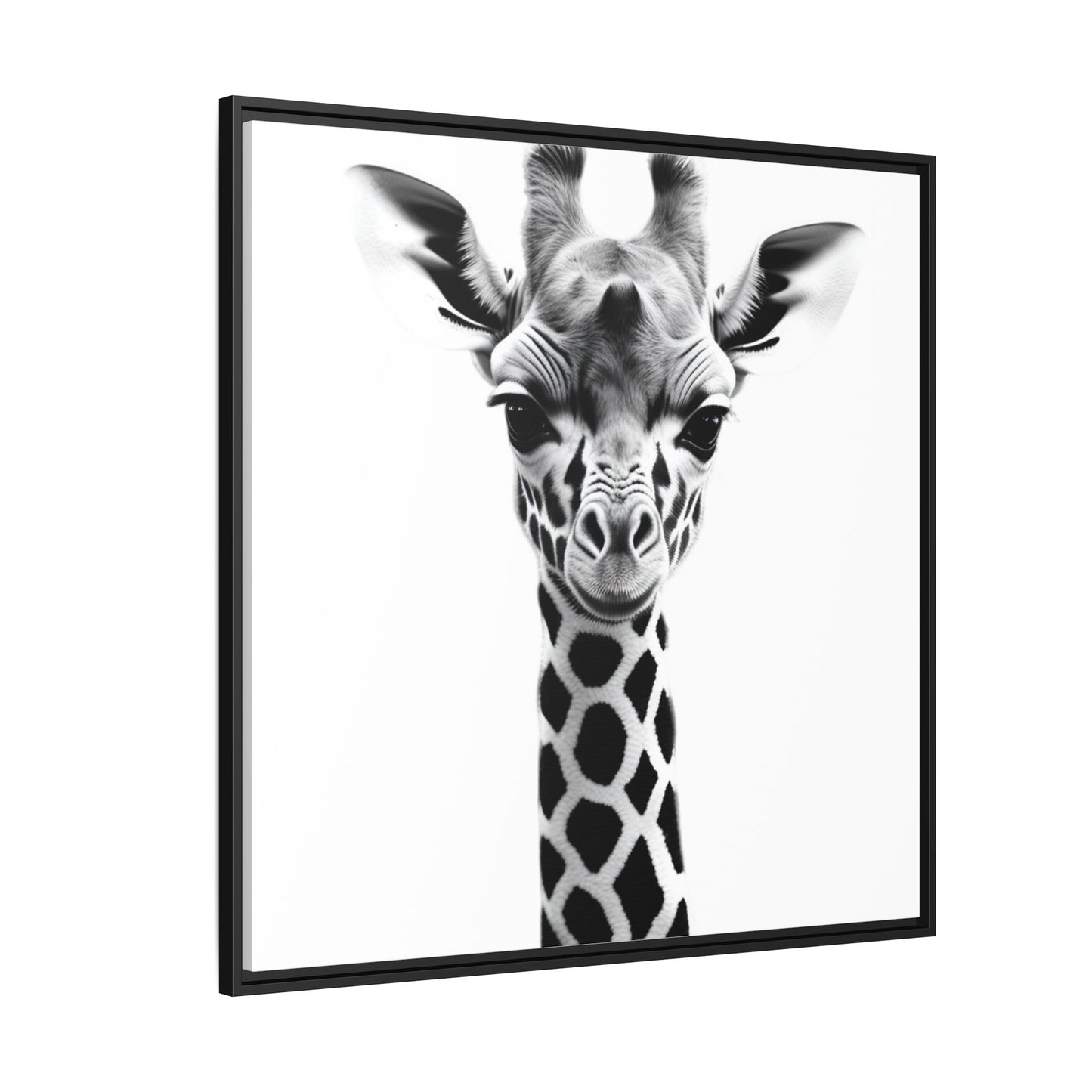 Baby Giraffe Wall Art Black & White Wildlife Photography Print, Cute Giraffe Lover Gift