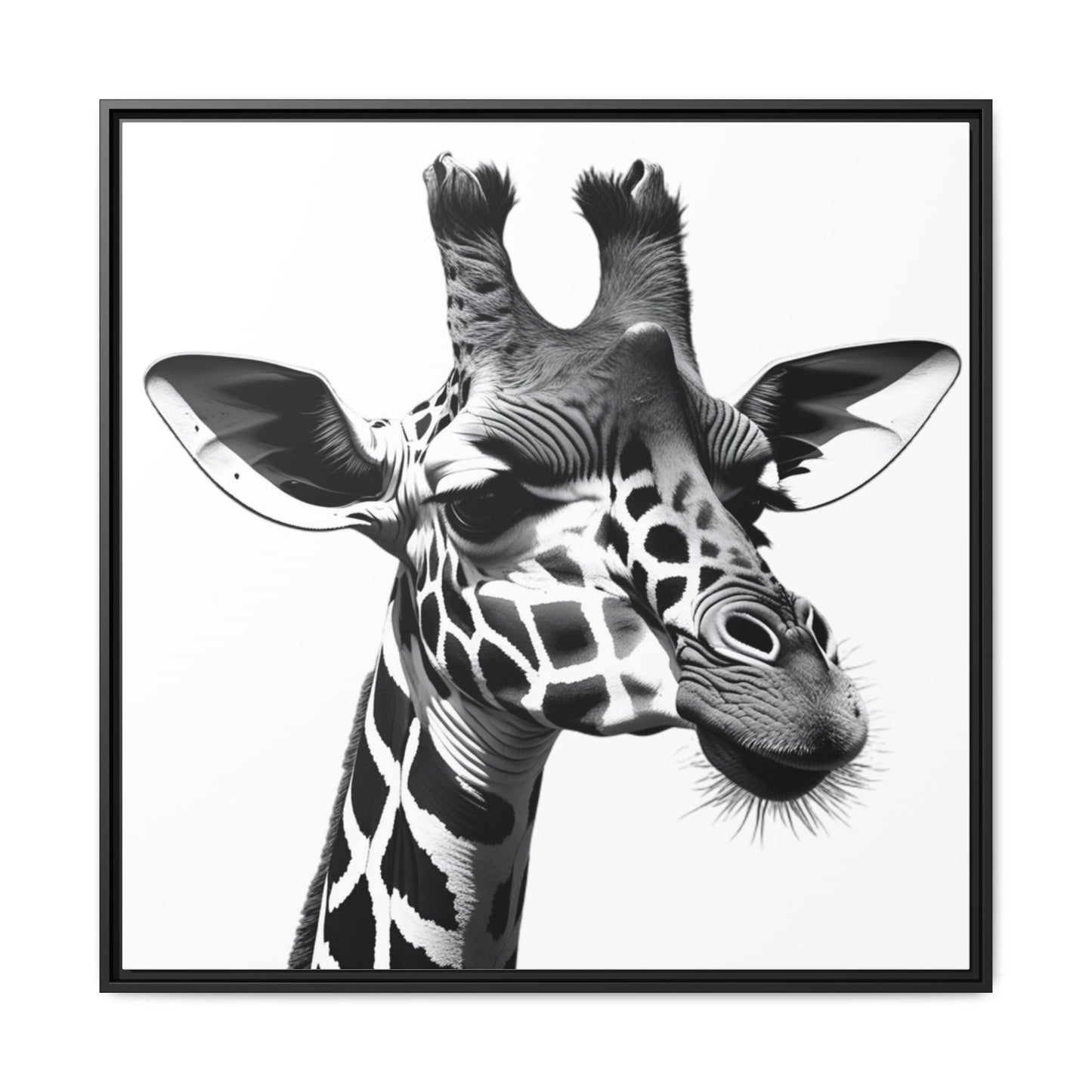 Black and White Giraffe Wall Art – Framed Safari Animal Canvas Print