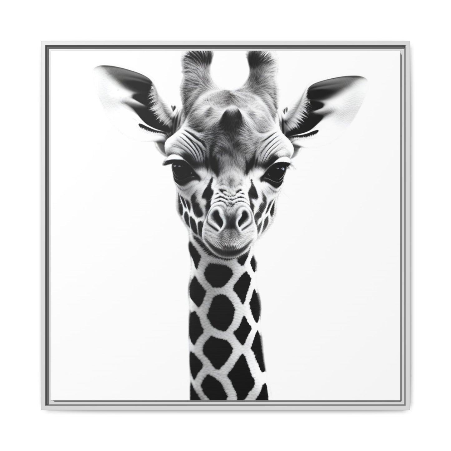 Baby Giraffe Wall Art Black & White Wildlife Photography Print, Cute Giraffe Lover Gift