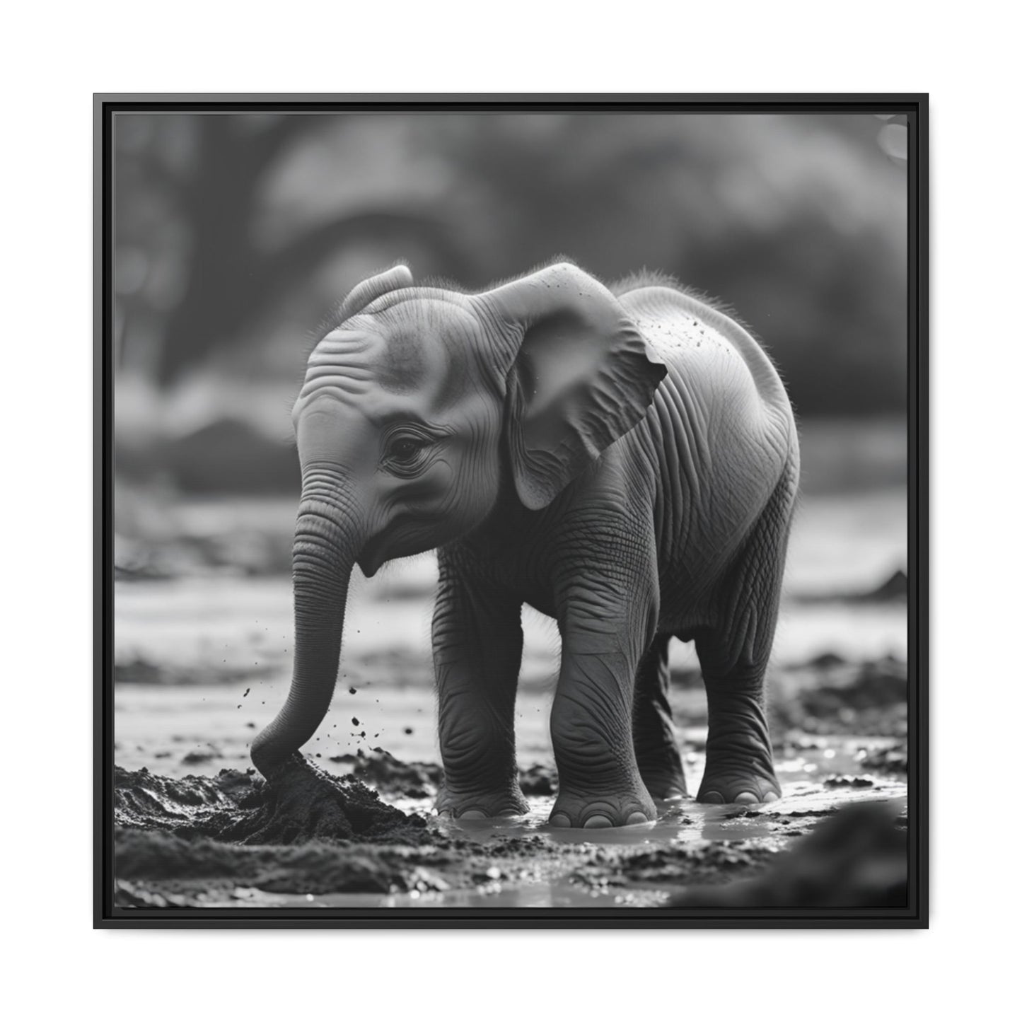 Black and white photo of a baby elephant in a natural setting