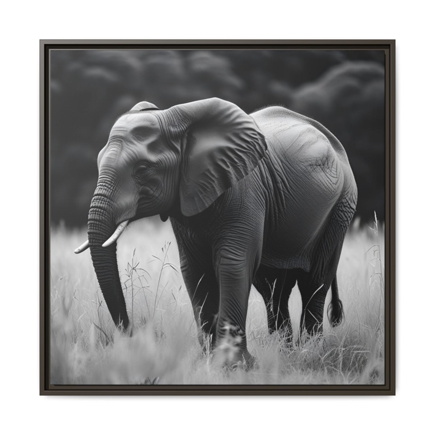 Framed black and white photograph of an elephant in a natural setting