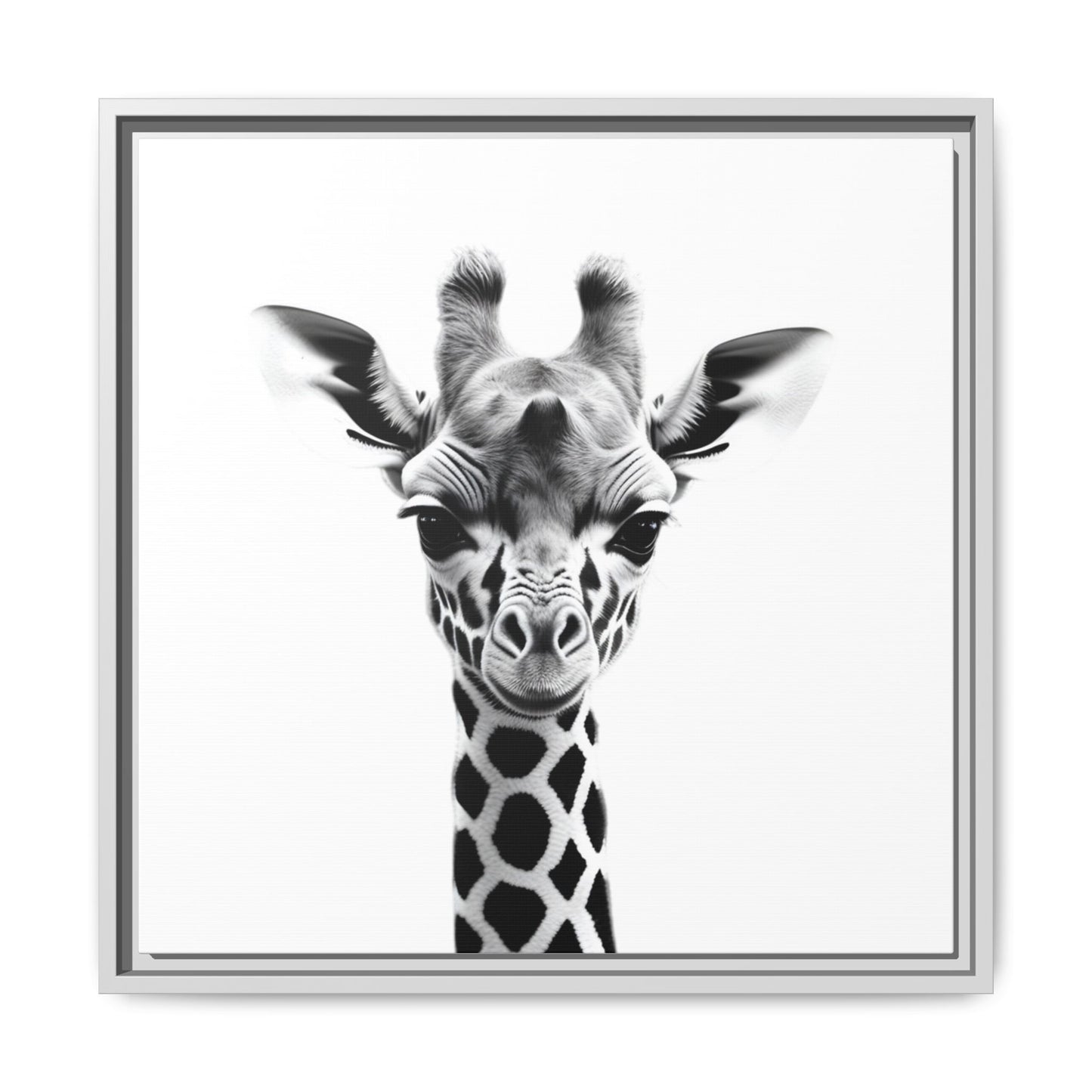Baby Giraffe Wall Art Black & White Wildlife Photography Print, Cute Giraffe Lover Gift