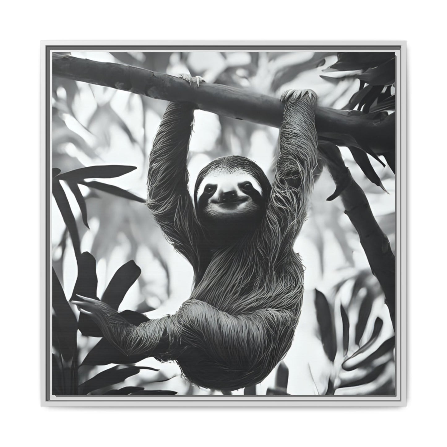 Playful Sloth Hanging from Tree Branch Black & White Animal Wall Art, Cute Sloth Photography Print, Jungle Theme Home Deco