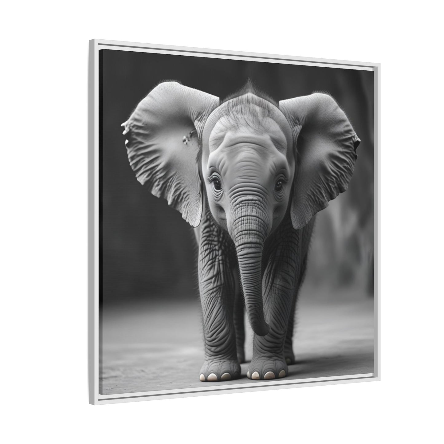 Adorable Baby Elephant Wall Art Black & White Wildlife Photography Print, Cute Safari Animal Home Decor, Elephant Lover Gift