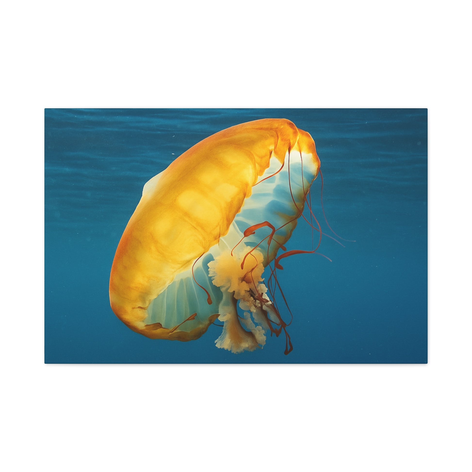 Yellow jellyfish swimming in clear blue water