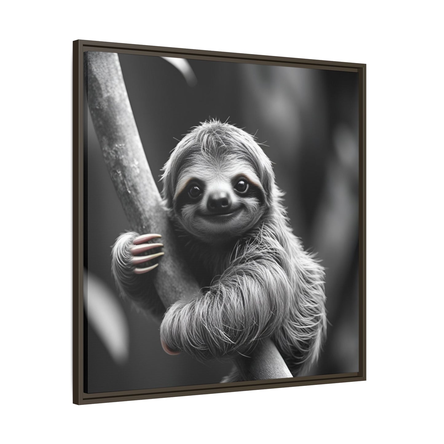 Framed black and white photo of a sloth hanging on a branch