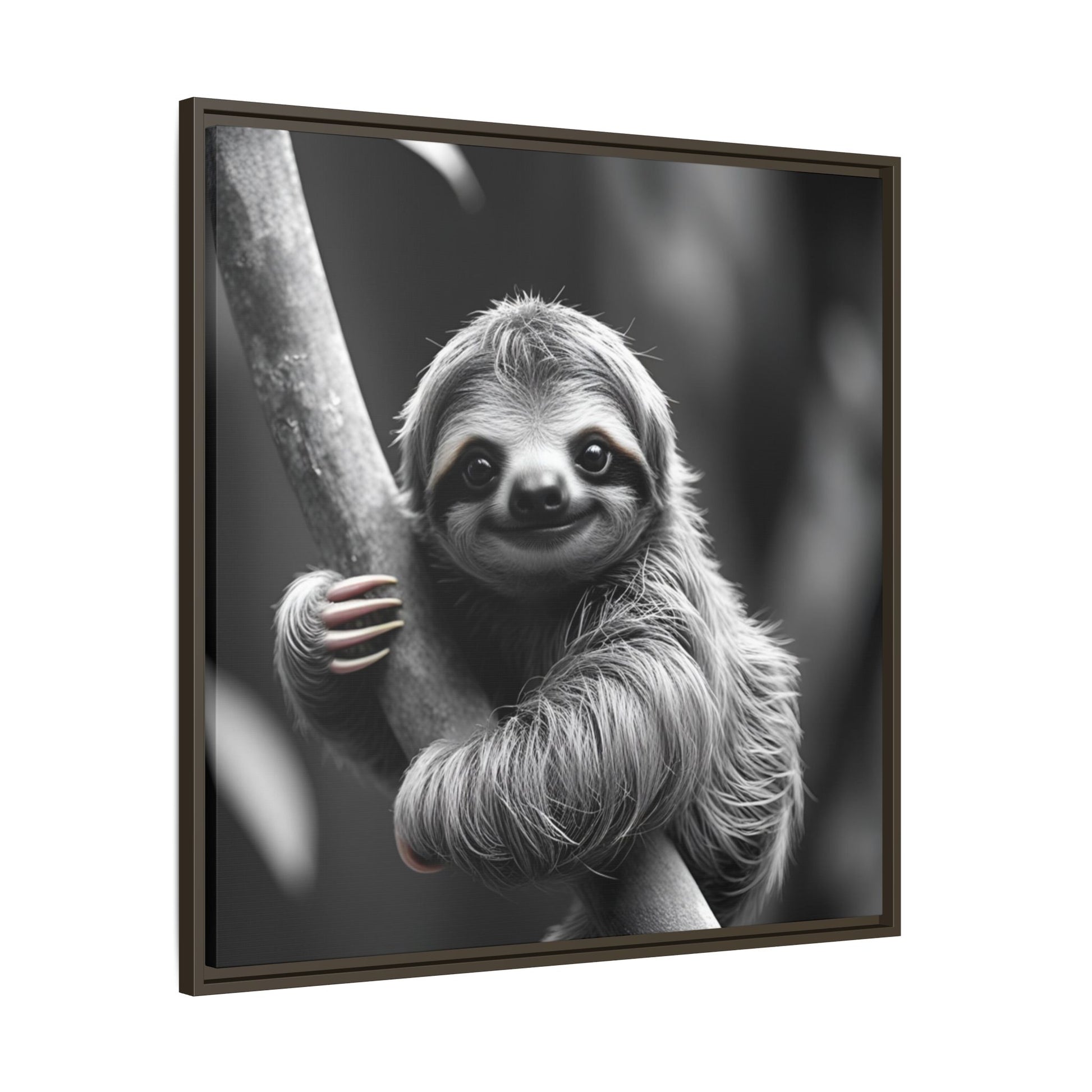 Framed black and white photo of a sloth hanging on a branch