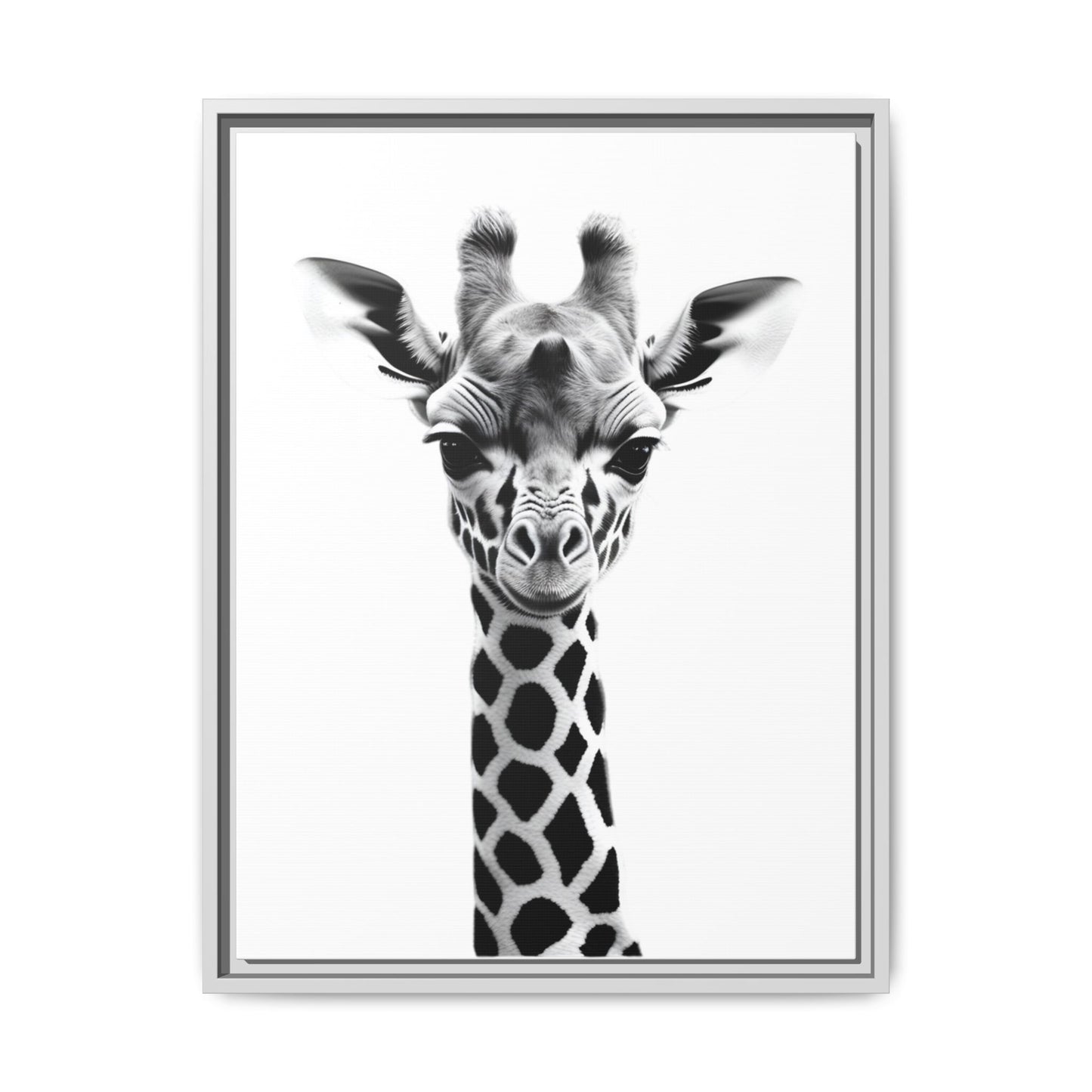 Baby Giraffe Wall Art Black & White Wildlife Photography Print, Cute Giraffe Lover Gift