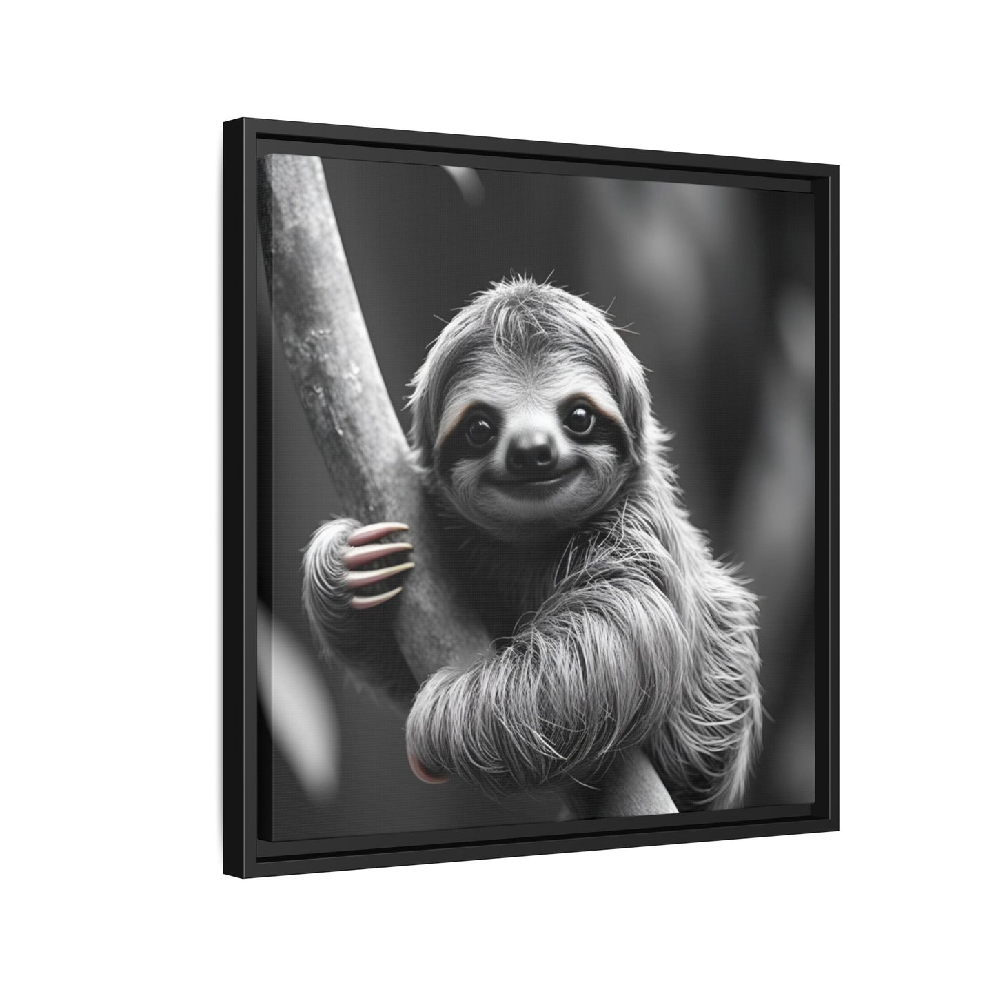 Framed artwork of a sloth hanging from a branch on a white background