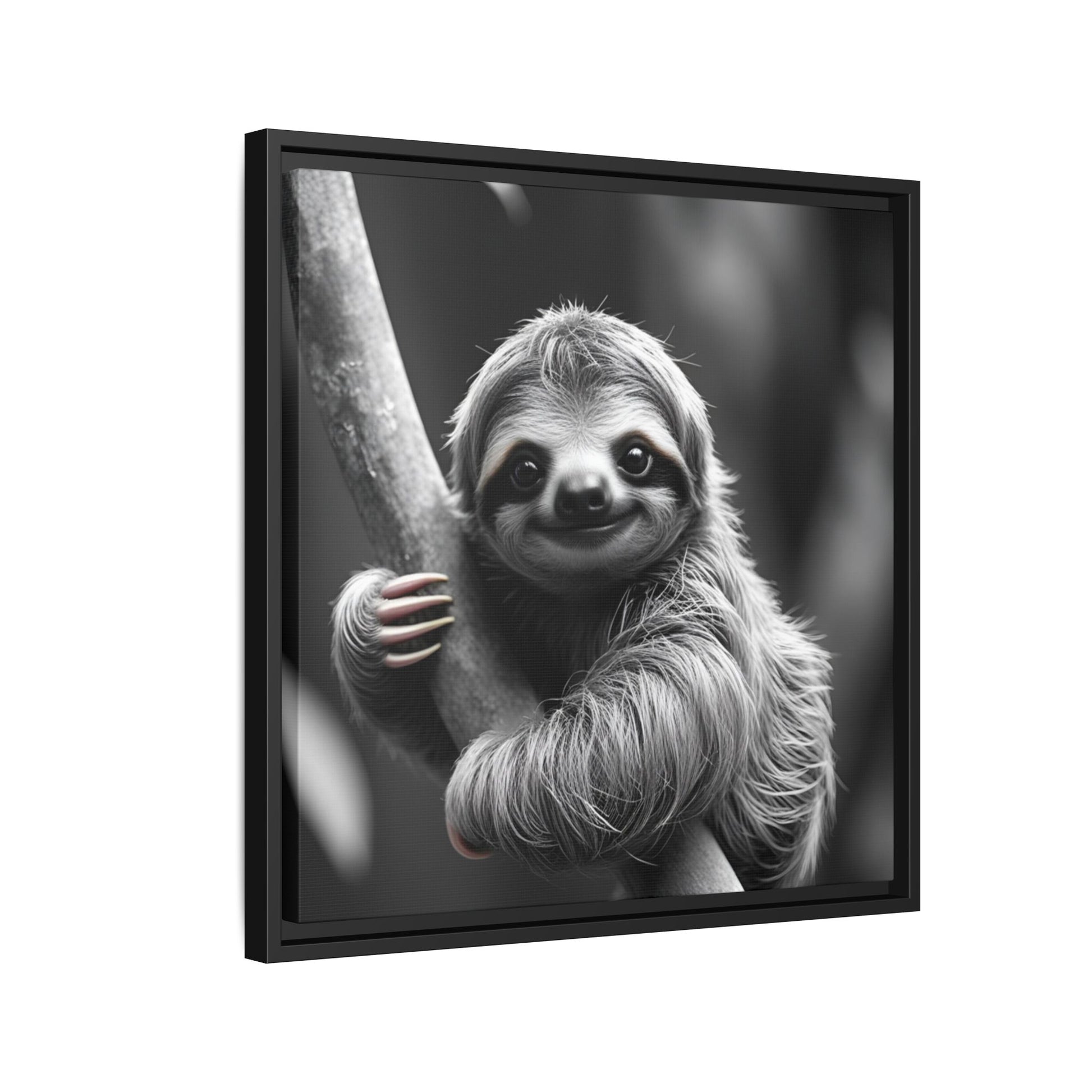 Framed artwork of a sloth hanging from a branch on a white background