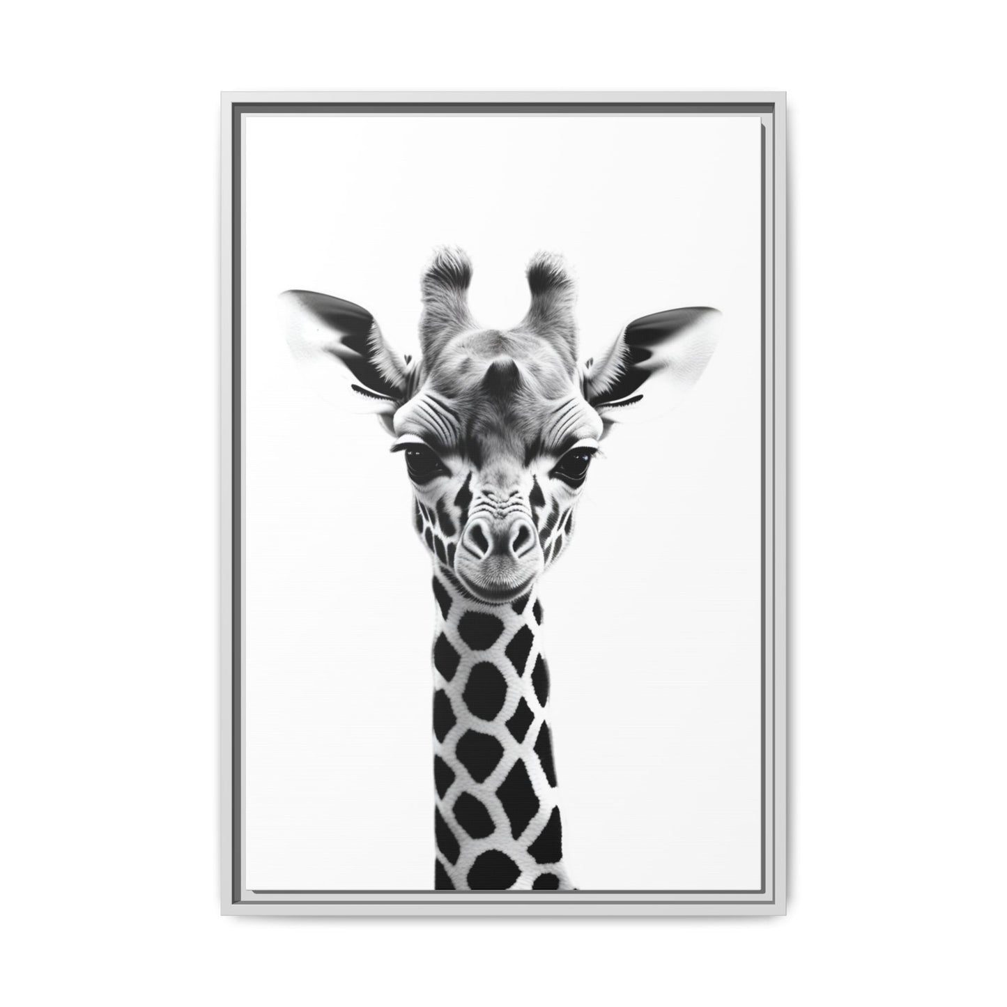 Baby Giraffe Wall Art Black & White Wildlife Photography Print, Cute Giraffe Lover Gift