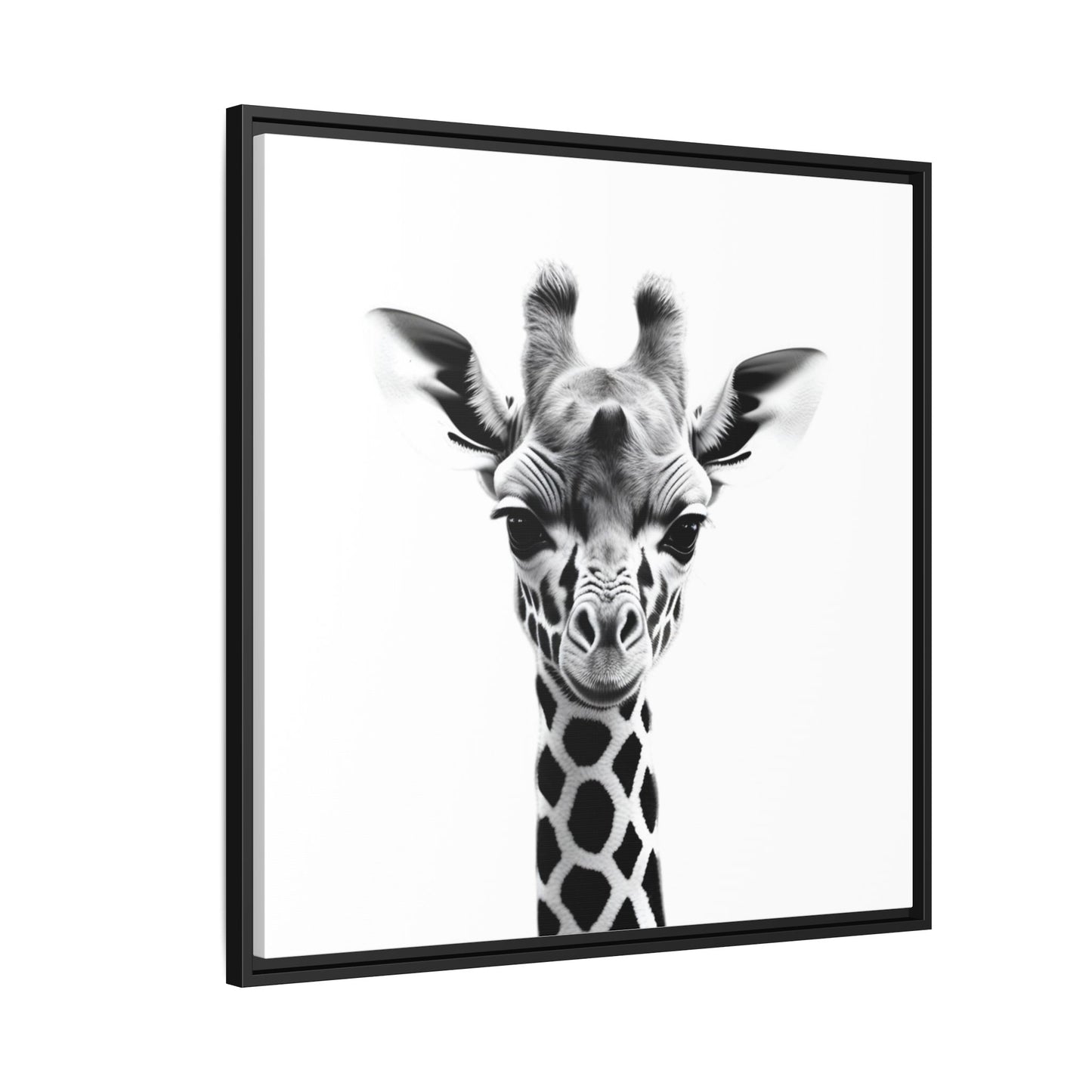 Baby Giraffe Wall Art Black & White Wildlife Photography Print, Cute Giraffe Lover Gift