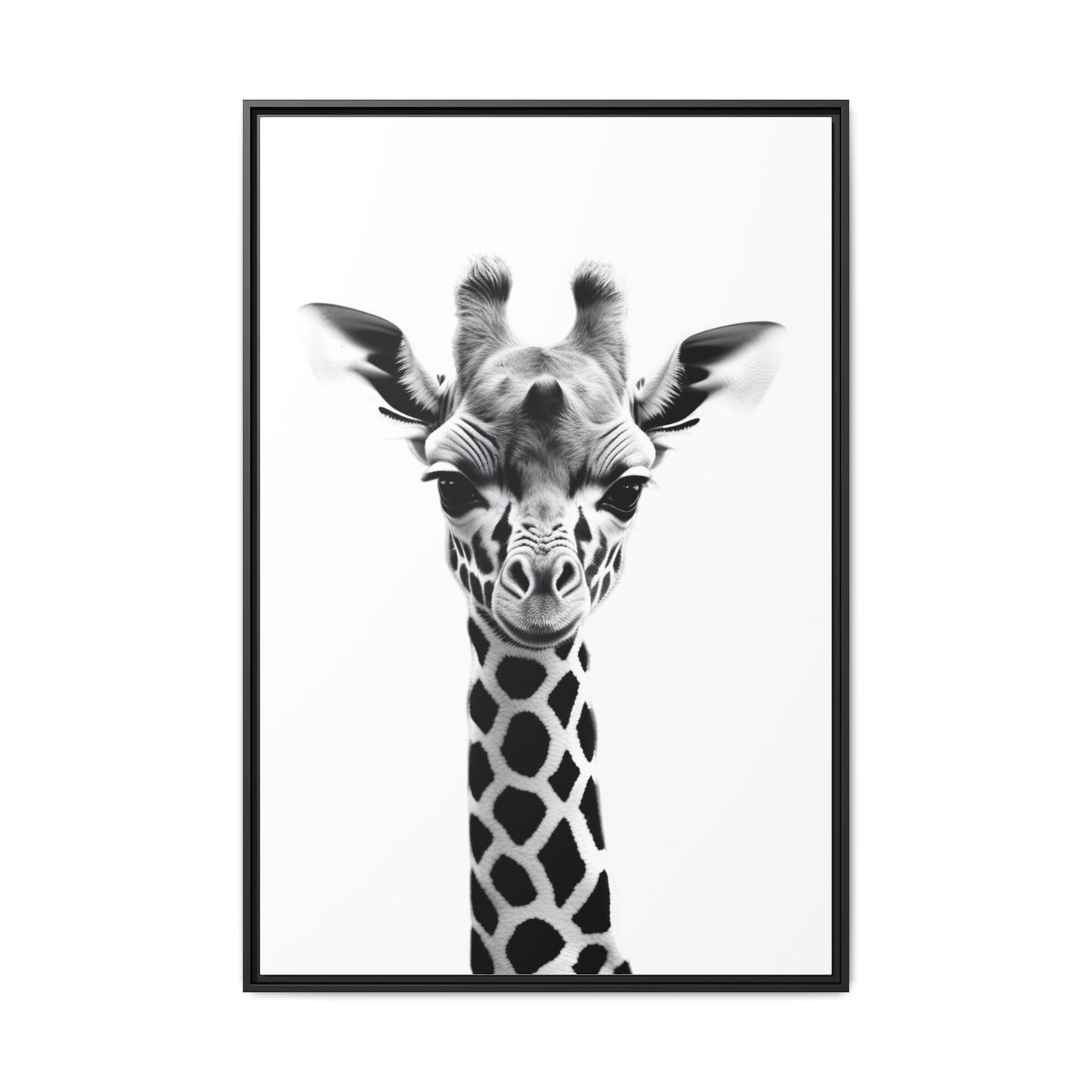 Framed black and white photo of a giraffe's head on a white background