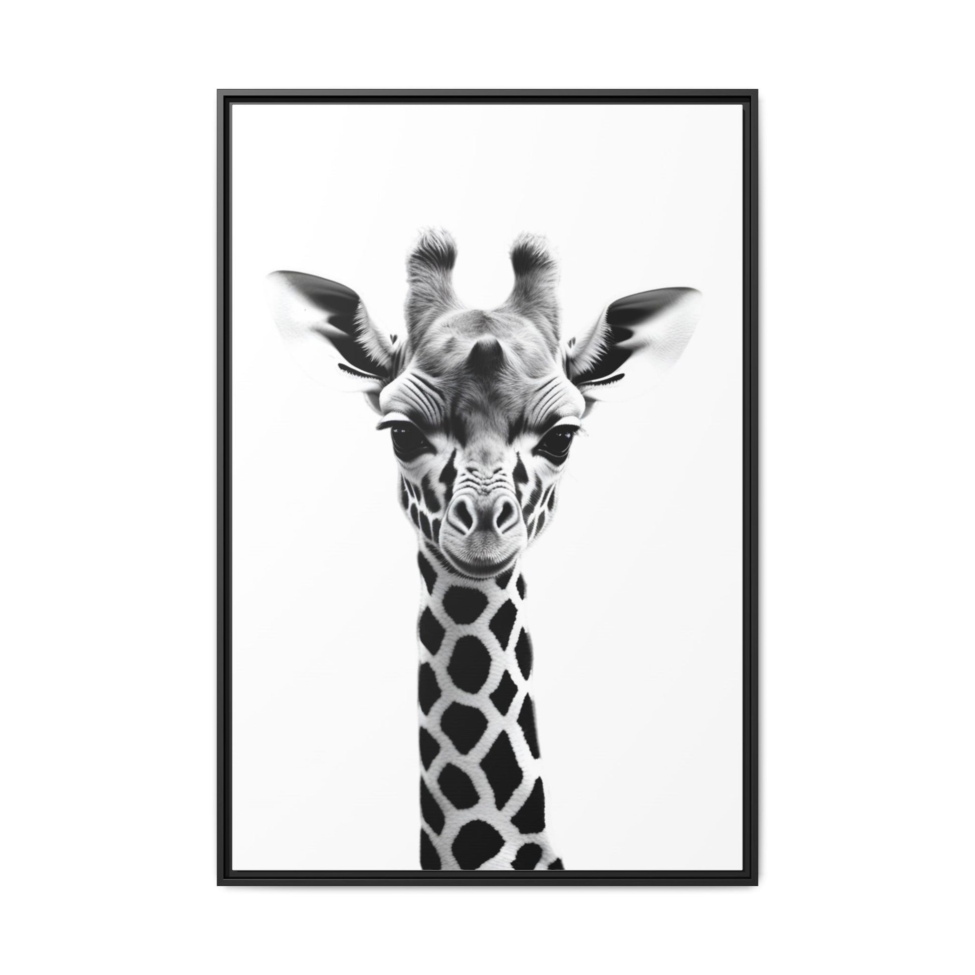 Framed black and white photo of a giraffe's head on a white background