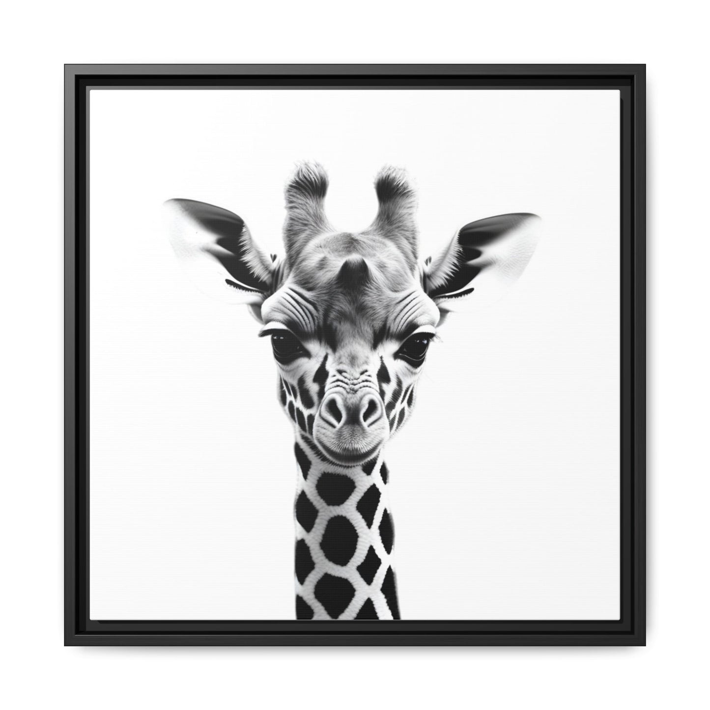 Baby Giraffe Wall Art Black & White Wildlife Photography Print, Cute Giraffe Lover Gift