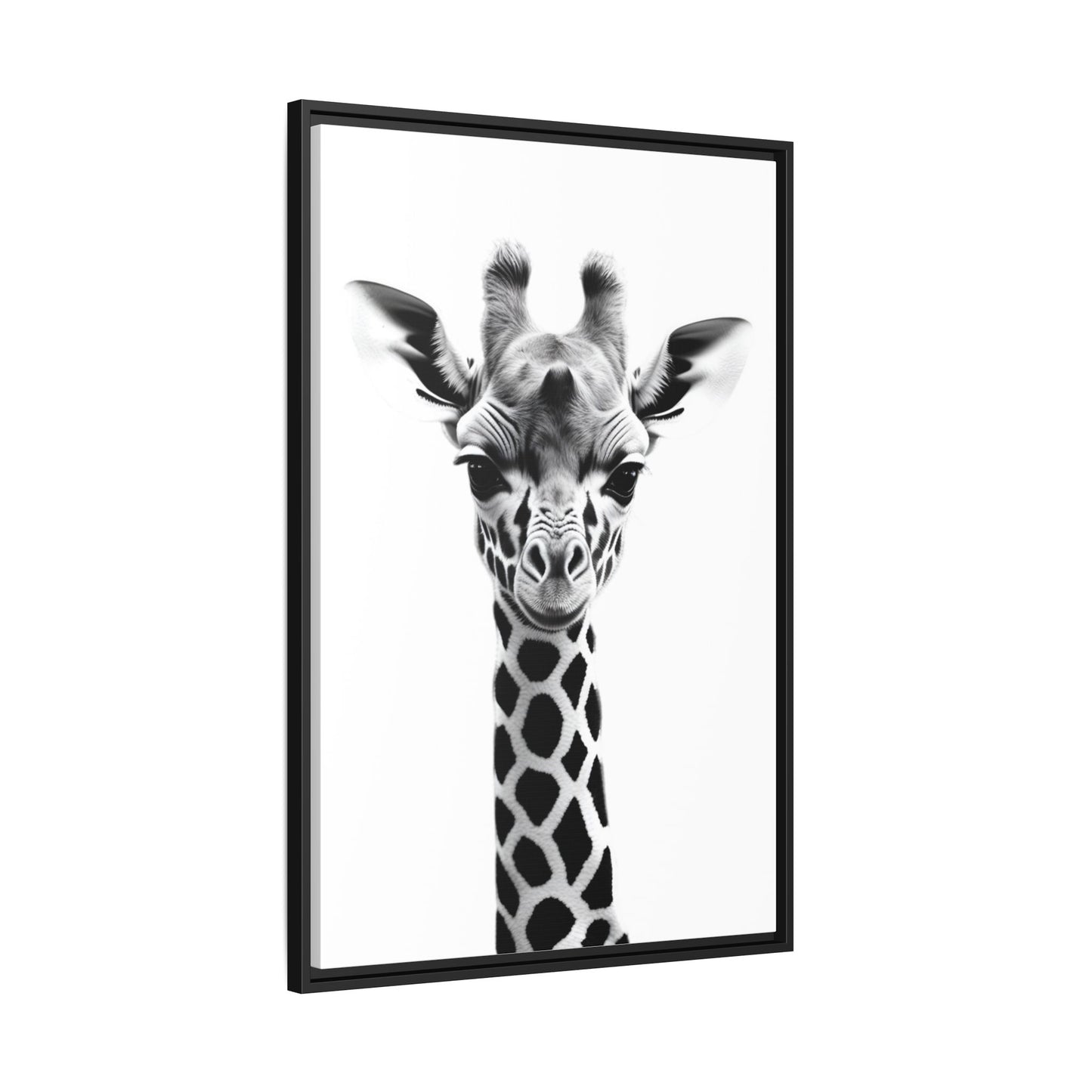 Baby Giraffe Wall Art Black & White Wildlife Photography Print, Cute Giraffe Lover Gift