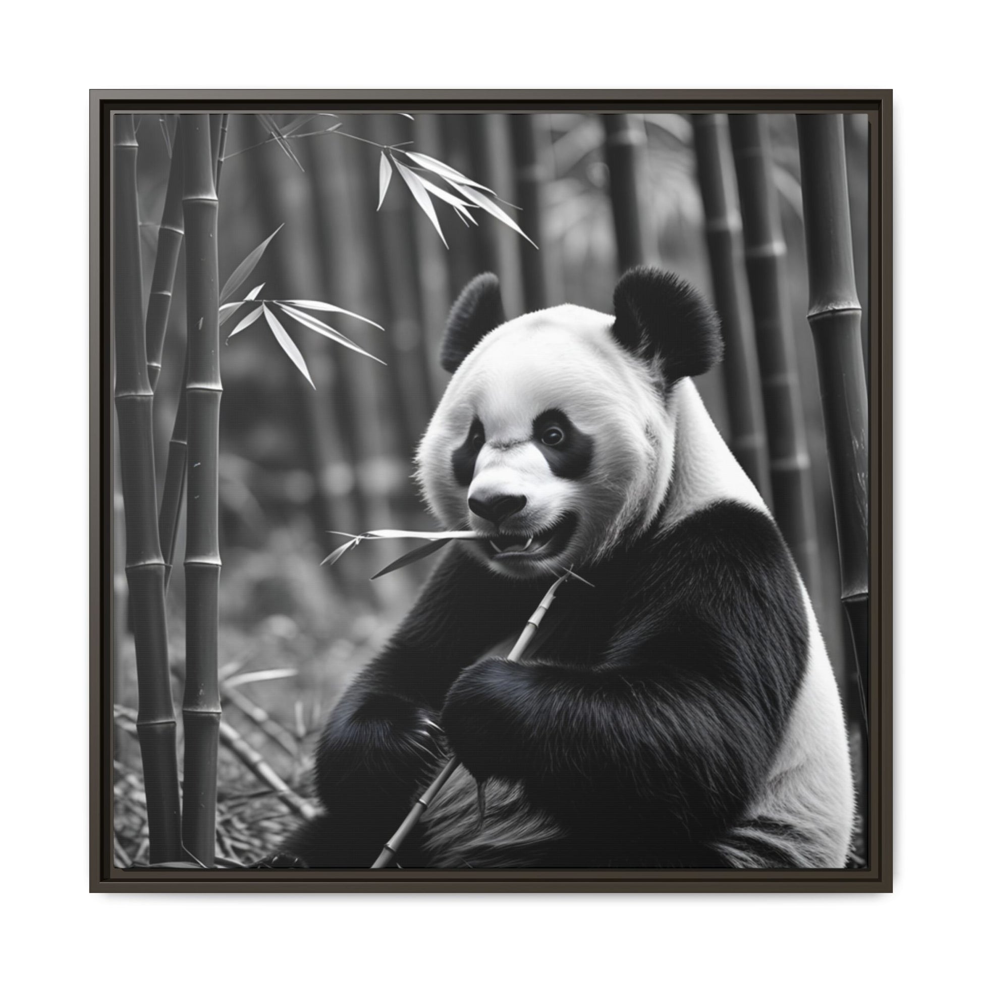 Framed black and white photograph of a panda bear holding bamboo in a bamboo forest.