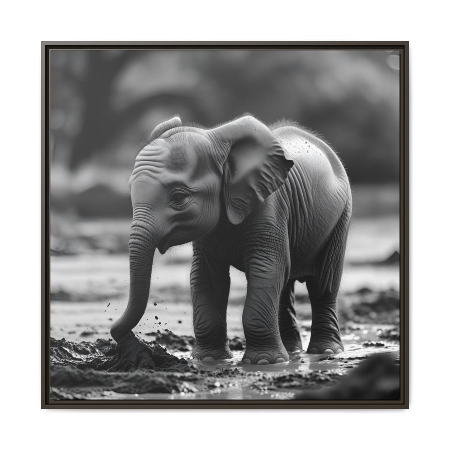 Black and white photo of a baby elephant in a natural setting