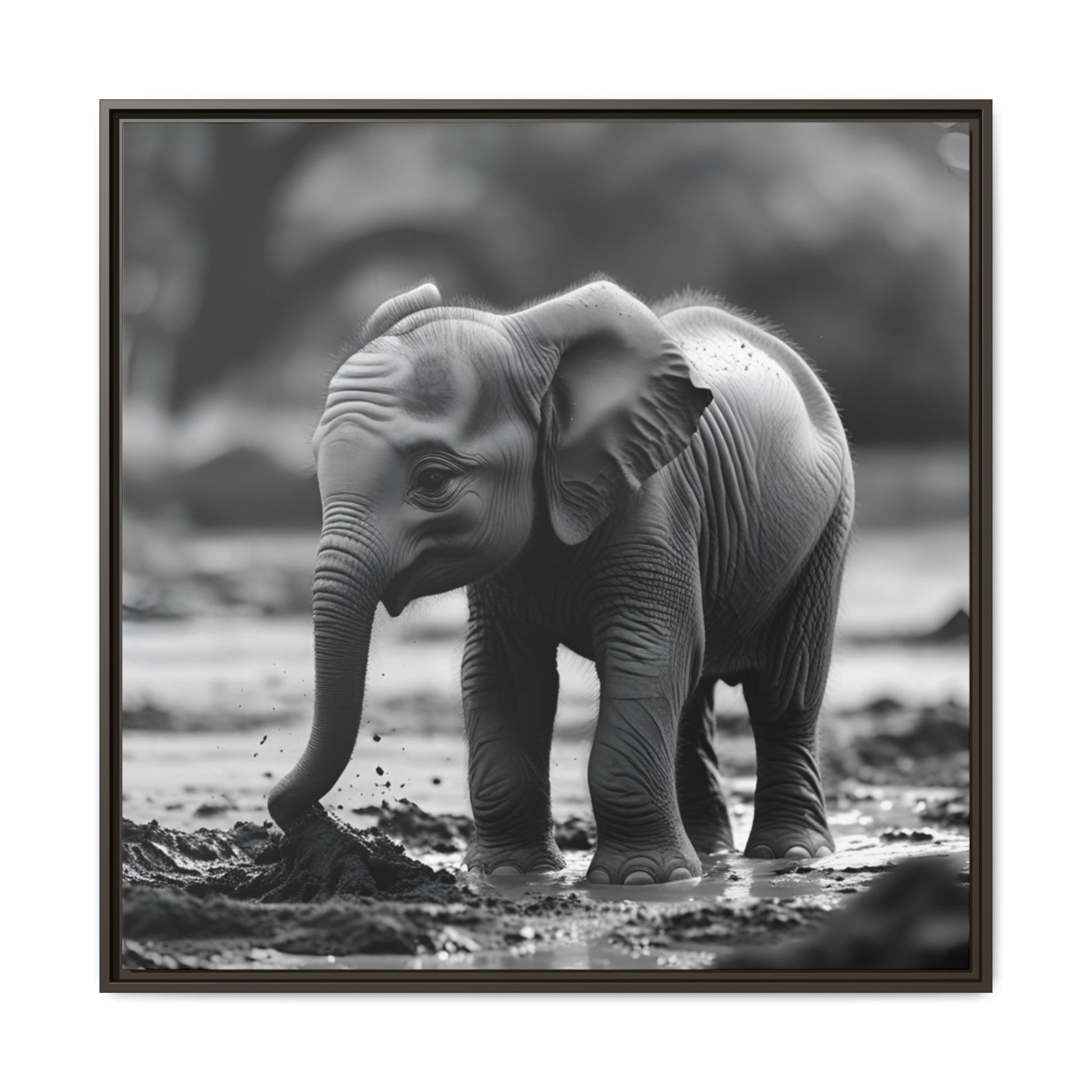 Black and white photo of a baby elephant in a natural setting