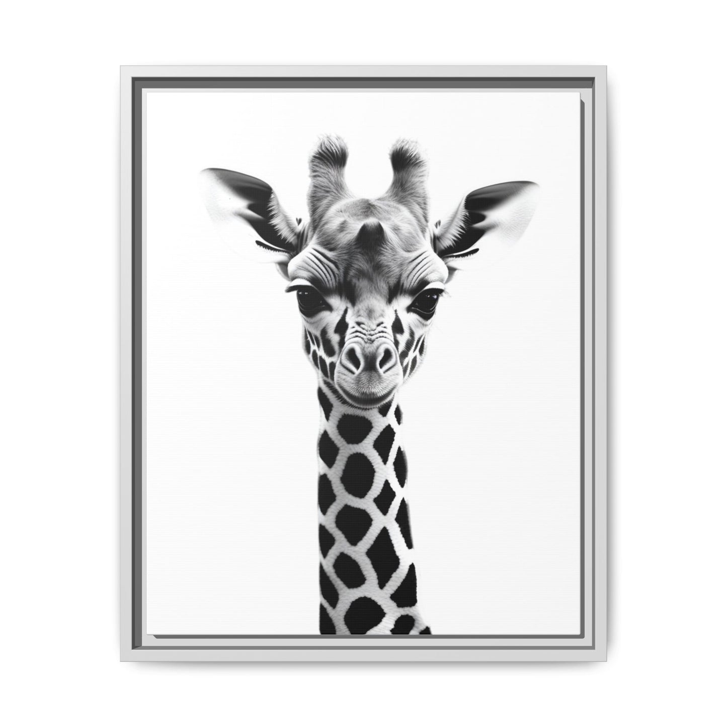 Baby Giraffe Wall Art Black & White Wildlife Photography Print, Cute Giraffe Lover Gift