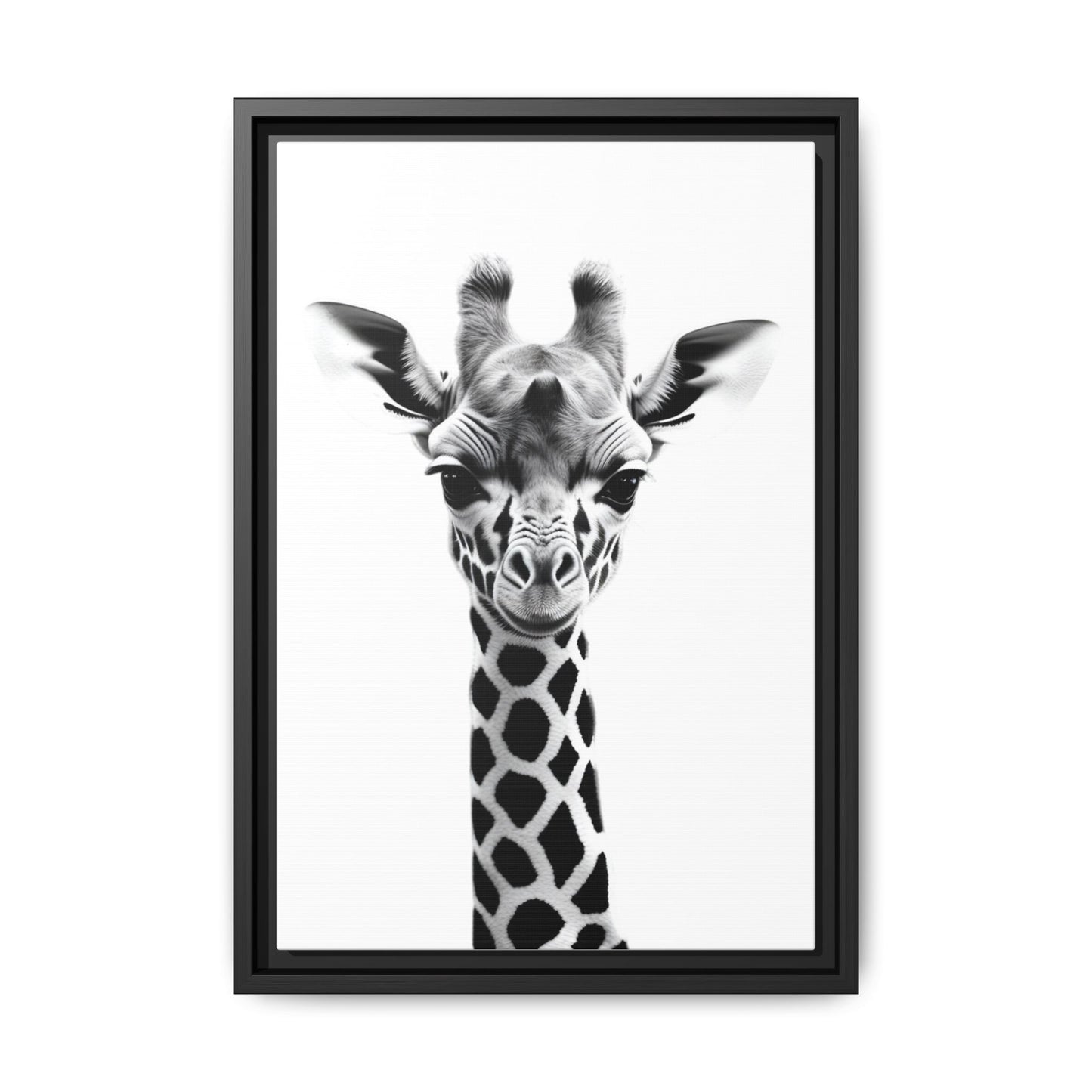 Baby Giraffe Wall Art Black & White Wildlife Photography Print, Cute Giraffe Lover Gift