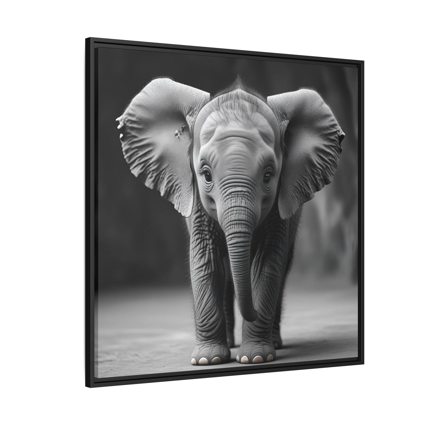 Adorable Baby Elephant Wall Art Black & White Wildlife Photography Print, Cute Safari Animal Home Decor, Elephant Lover Gift