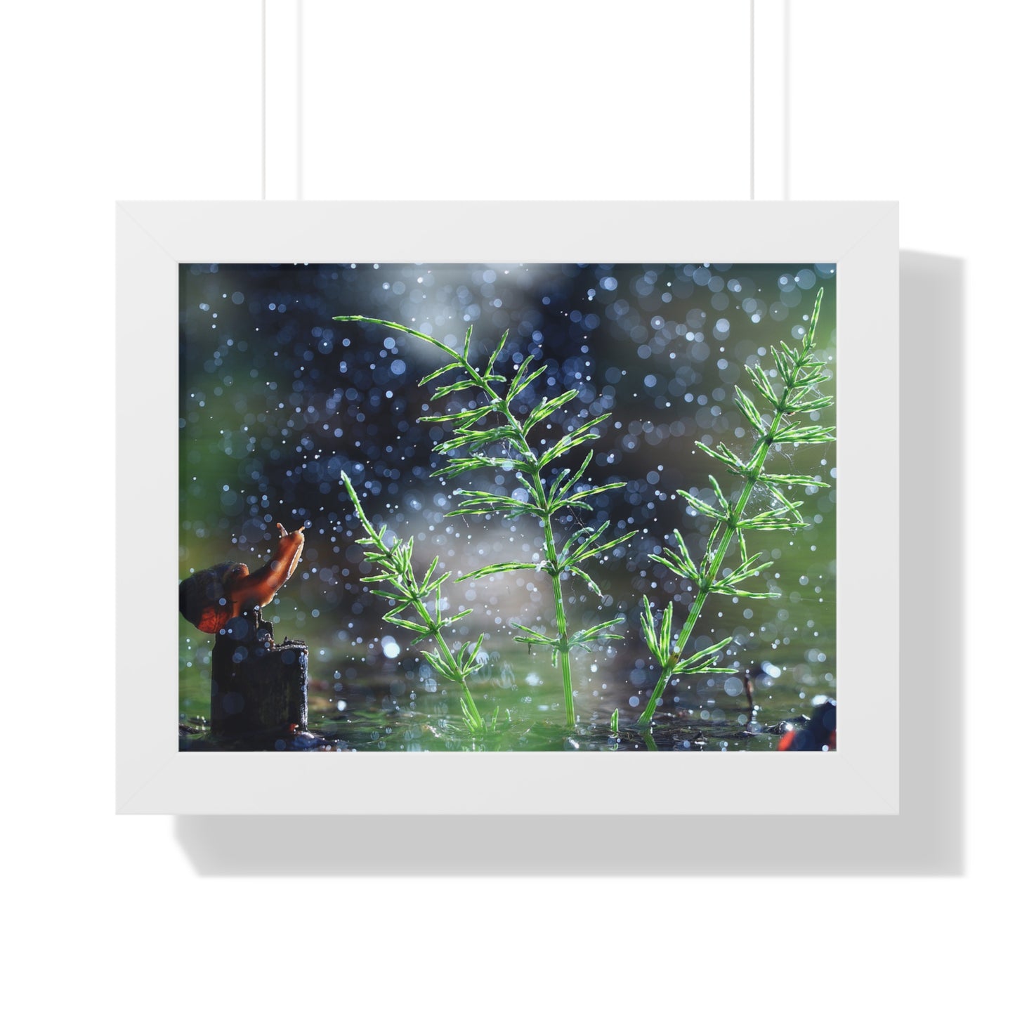 Snail Nature Wall Art – Rain Macro Botanical Print, Zen Forest Decor, Moody Nature, Calm Mindfulness Wall Art