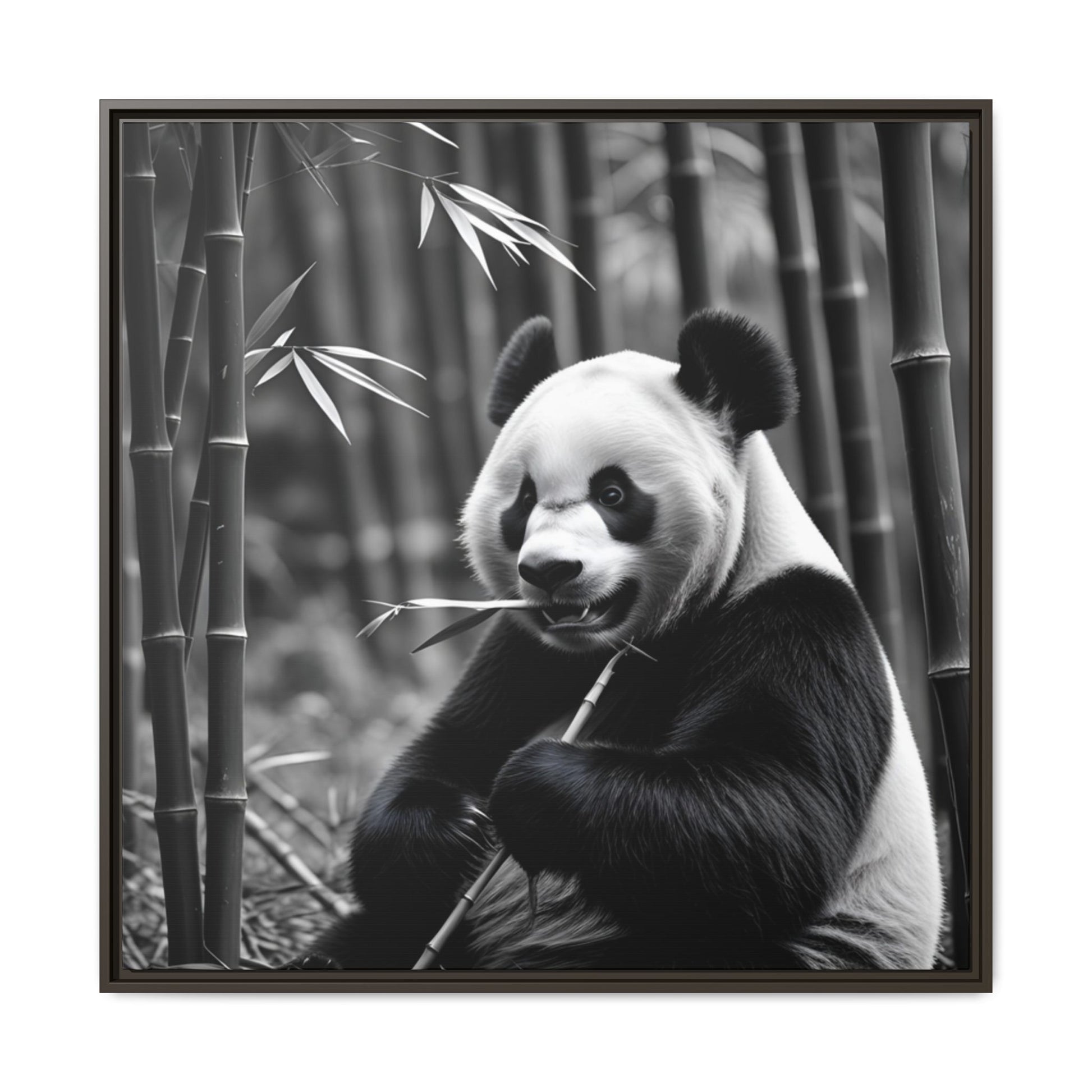 Black and white photo of a panda bear holding bamboo in a forest setting
