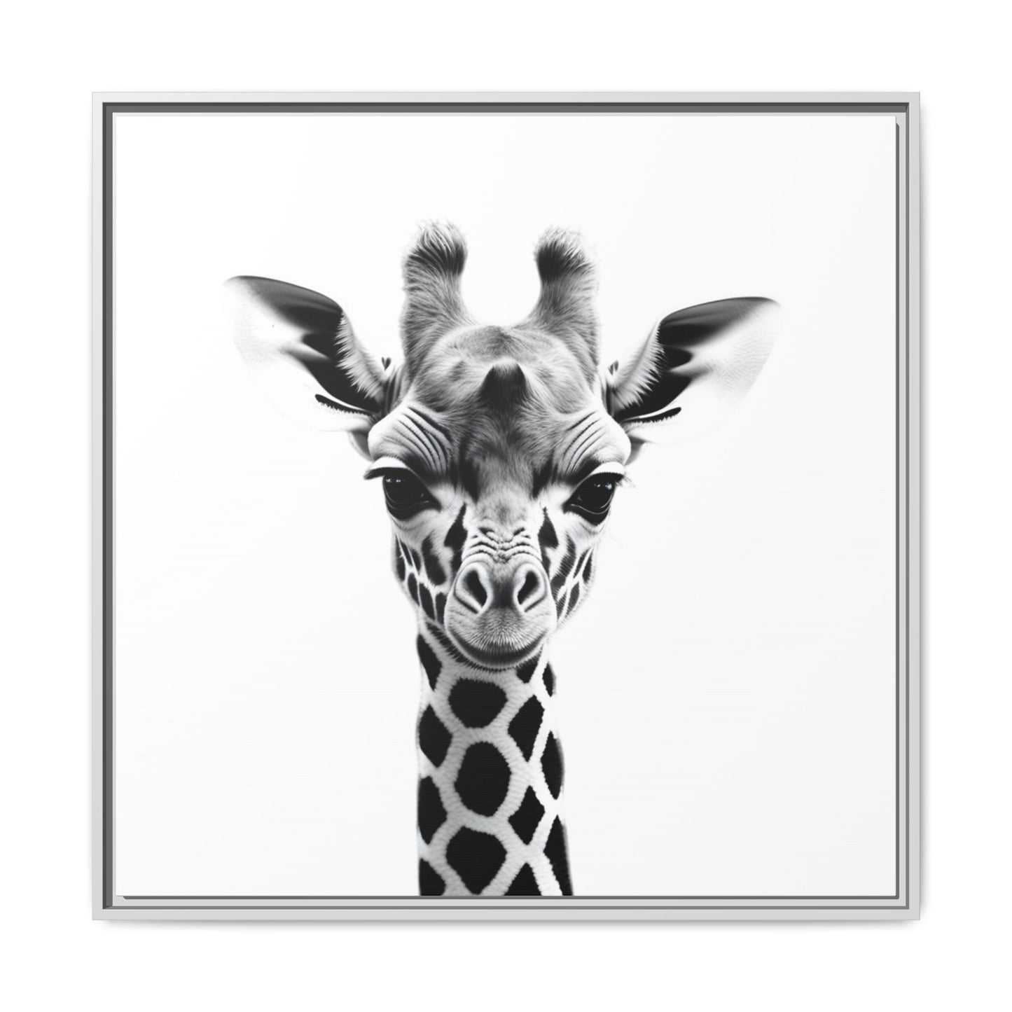 Baby Giraffe Wall Art Black & White Wildlife Photography Print, Cute Giraffe Lover Gift