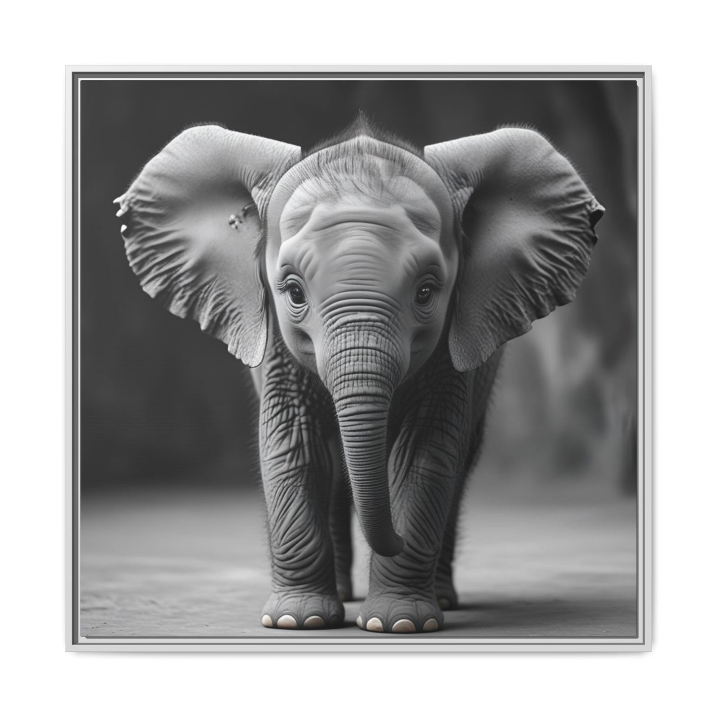 Adorable Baby Elephant Wall Art Black & White Wildlife Photography Print, Cute Safari Animal Home Decor, Elephant Lover Gift