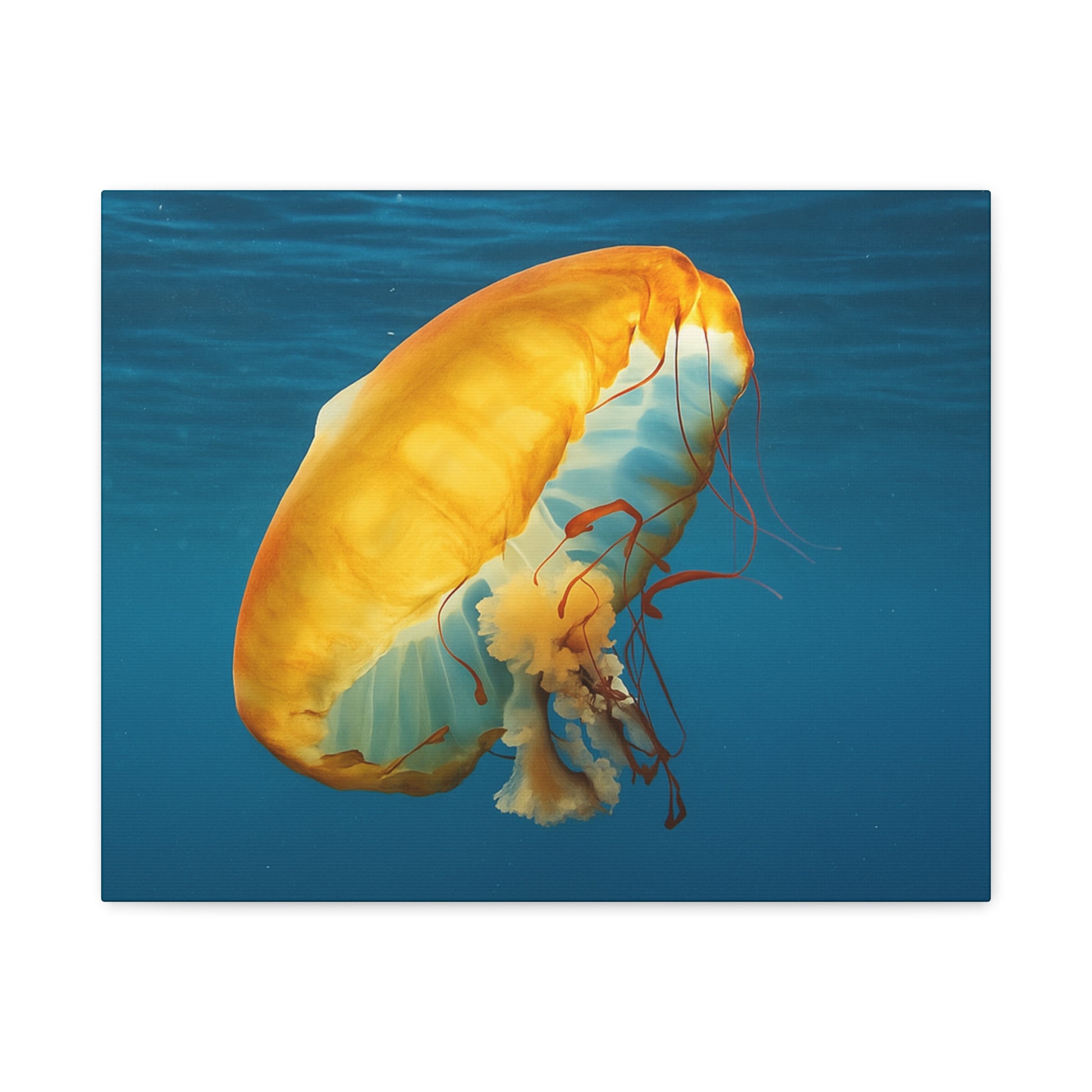 Colorful jellyfish swimming in clear blue water