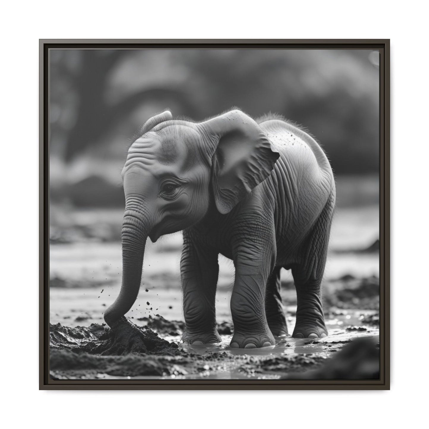 Black and white photo of a baby elephant playing in water