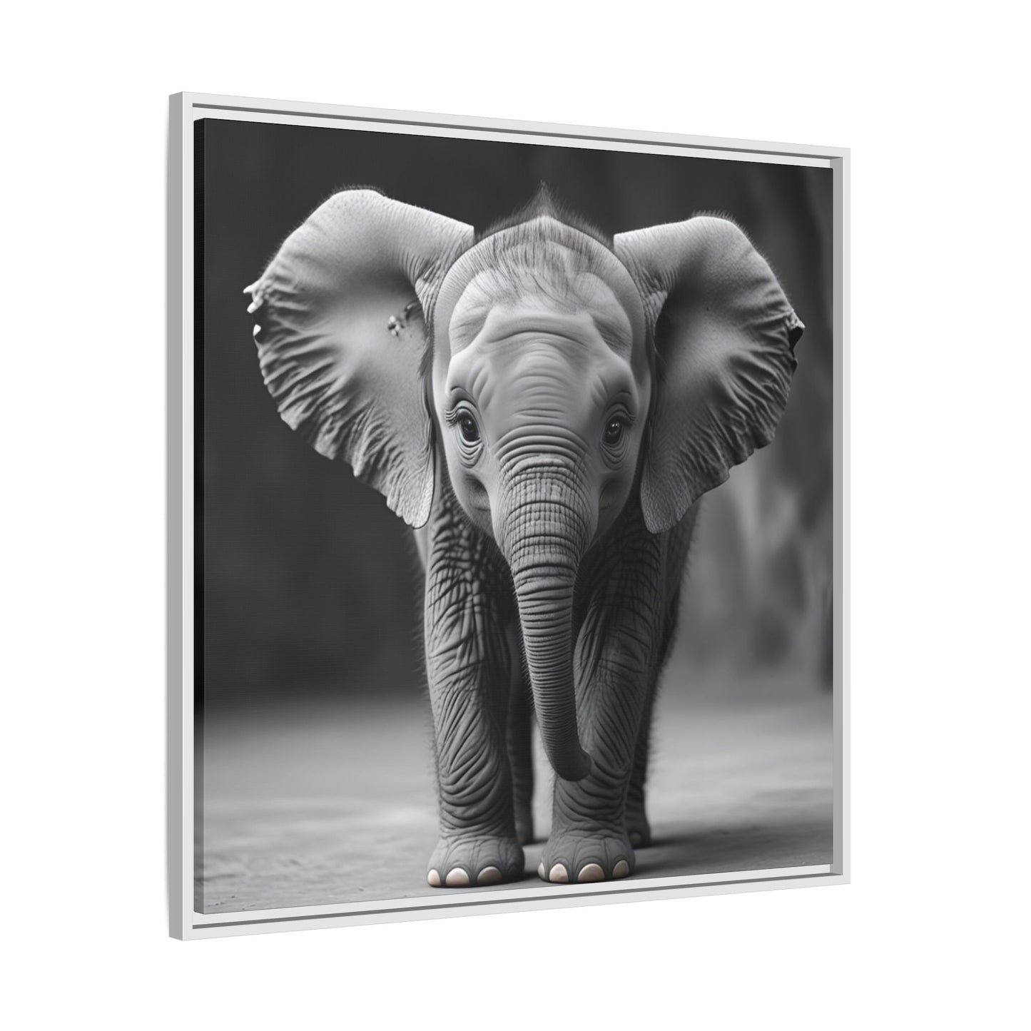 Adorable Baby Elephant Wall Art Black & White Wildlife Photography Print, Cute Safari Animal Home Decor, Elephant Lover Gift