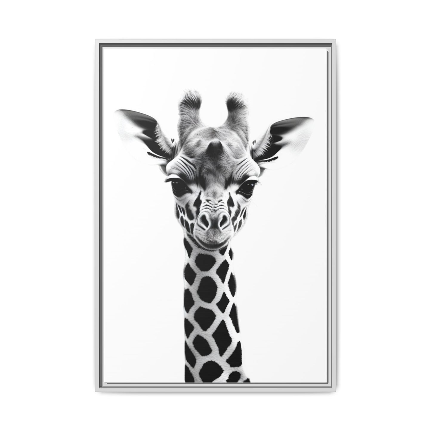 Baby Giraffe Wall Art Black & White Wildlife Photography Print, Cute Giraffe Lover Gift