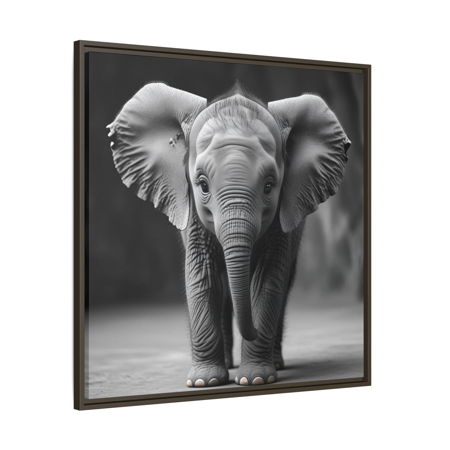 Adorable Baby Elephant Wall Art Black & White Wildlife Photography Print, Cute Safari Animal Home Decor, Elephant Lover Gift