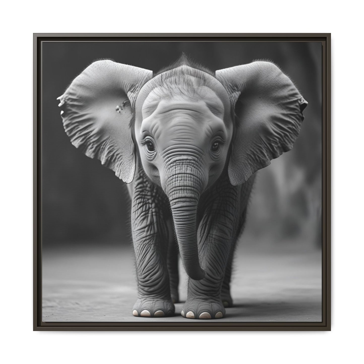 Adorable Baby Elephant Wall Art Black & White Wildlife Photography Print, Cute Safari Animal Home Decor, Elephant Lover Gift