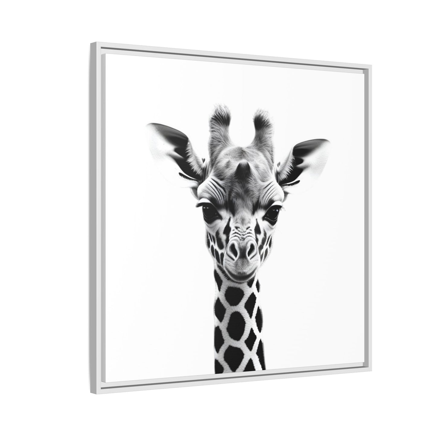 Baby Giraffe Wall Art Black & White Wildlife Photography Print, Cute Giraffe Lover Gift