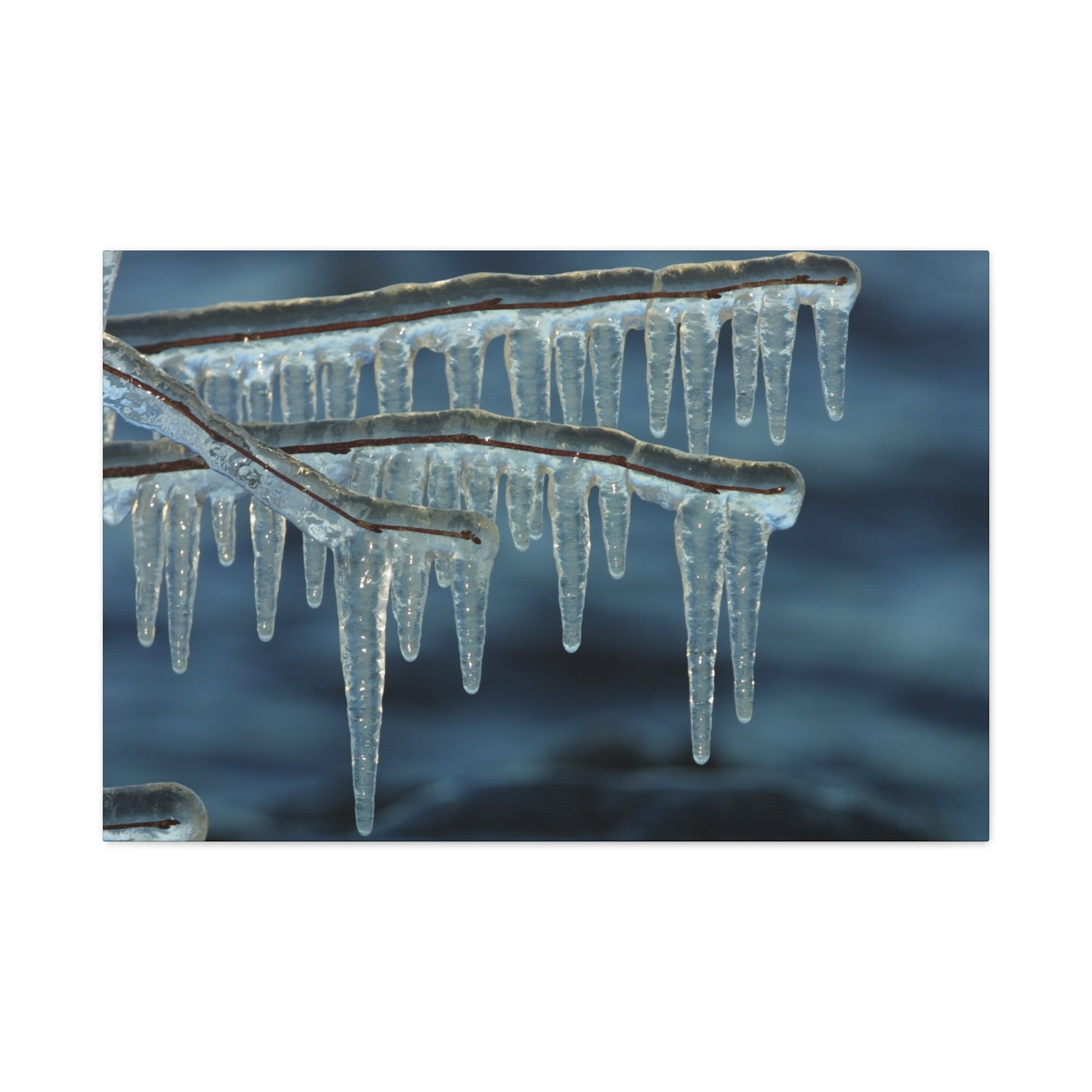 Icicles hanging from a branch against a dark blue sky