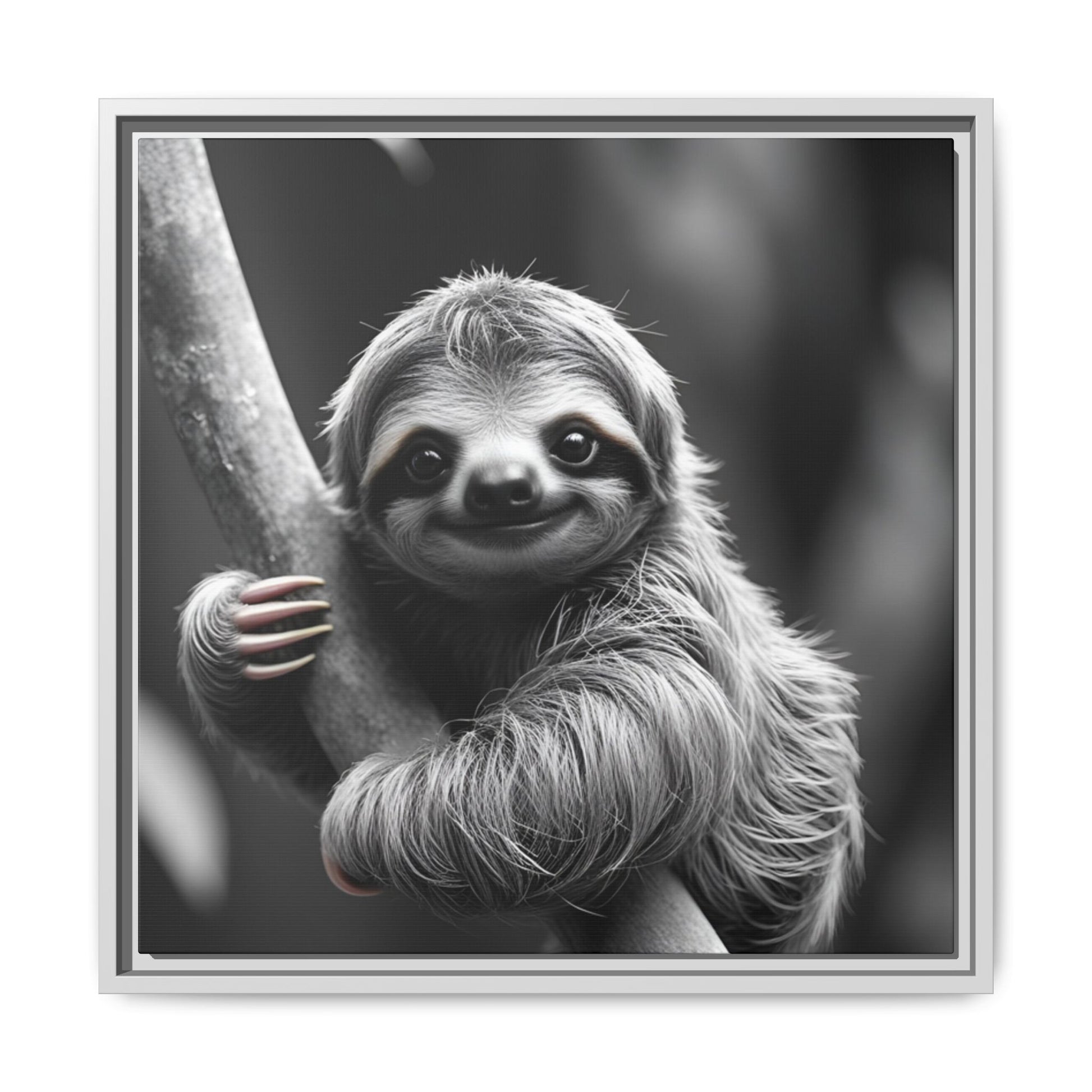 Framed black and white photo of a sloth hanging on a branch