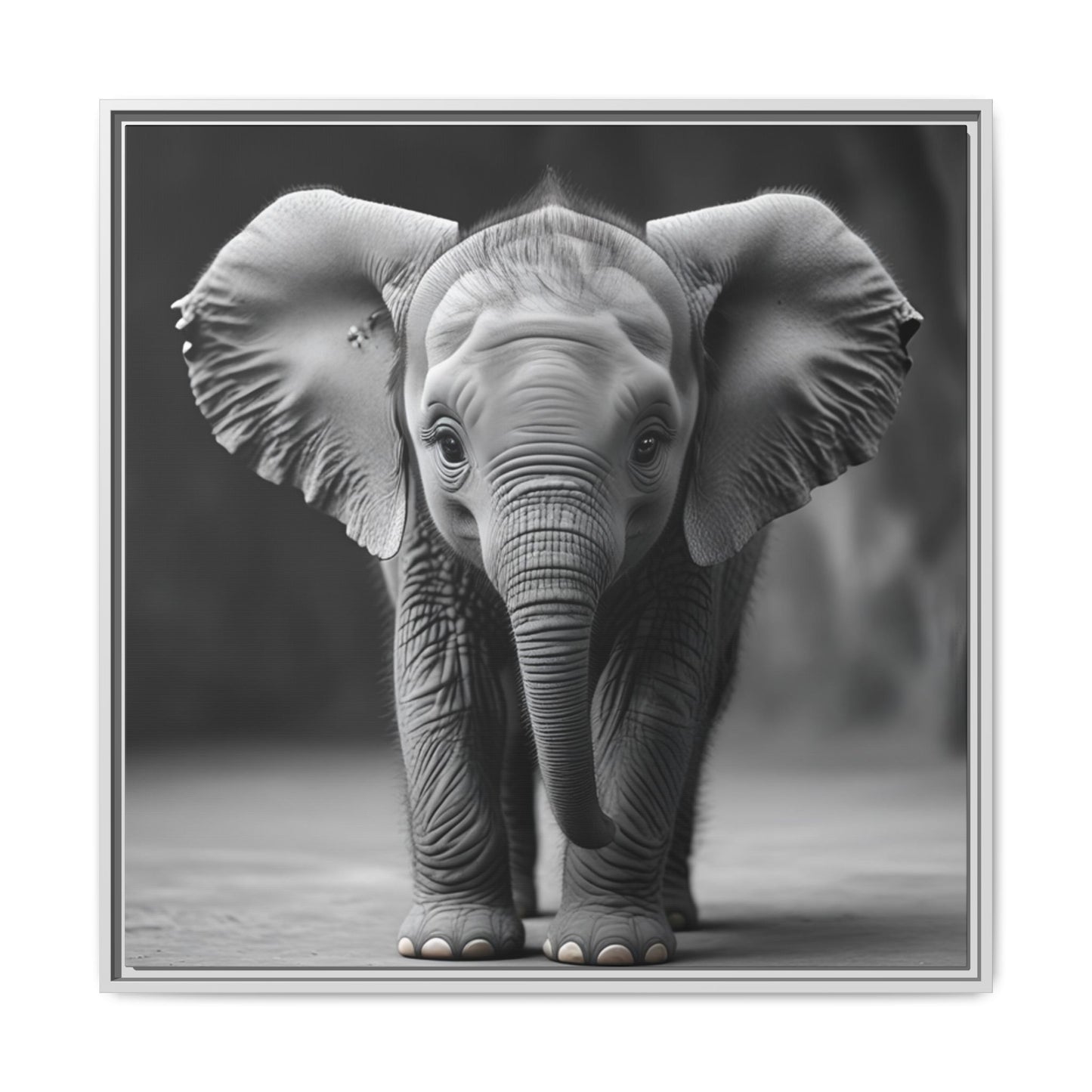 Adorable Baby Elephant Wall Art Black & White Wildlife Photography Print, Cute Safari Animal Home Decor, Elephant Lover Gift